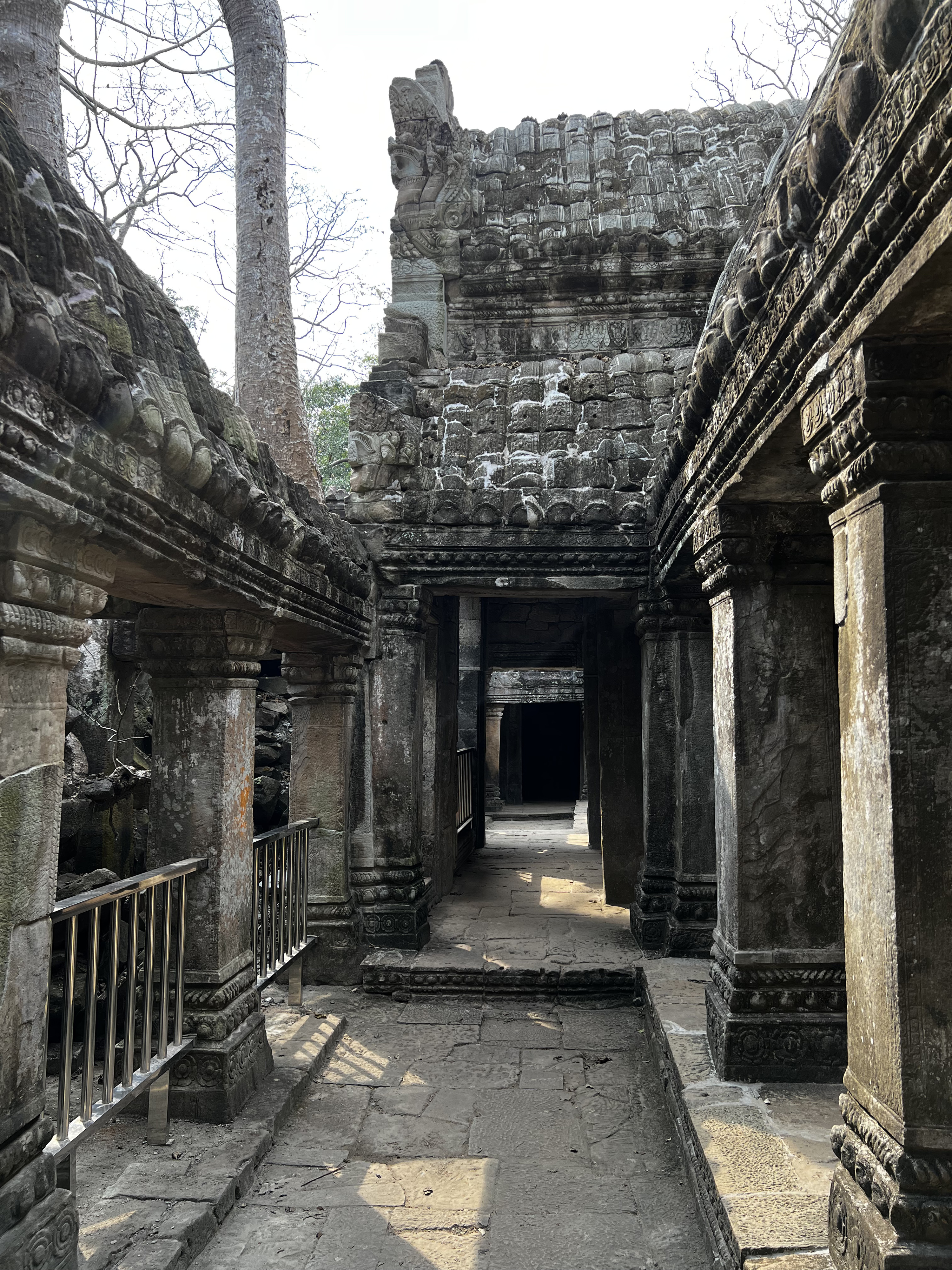 Photo Cambodge Siem Reap Ta Prohm 2023-01 136