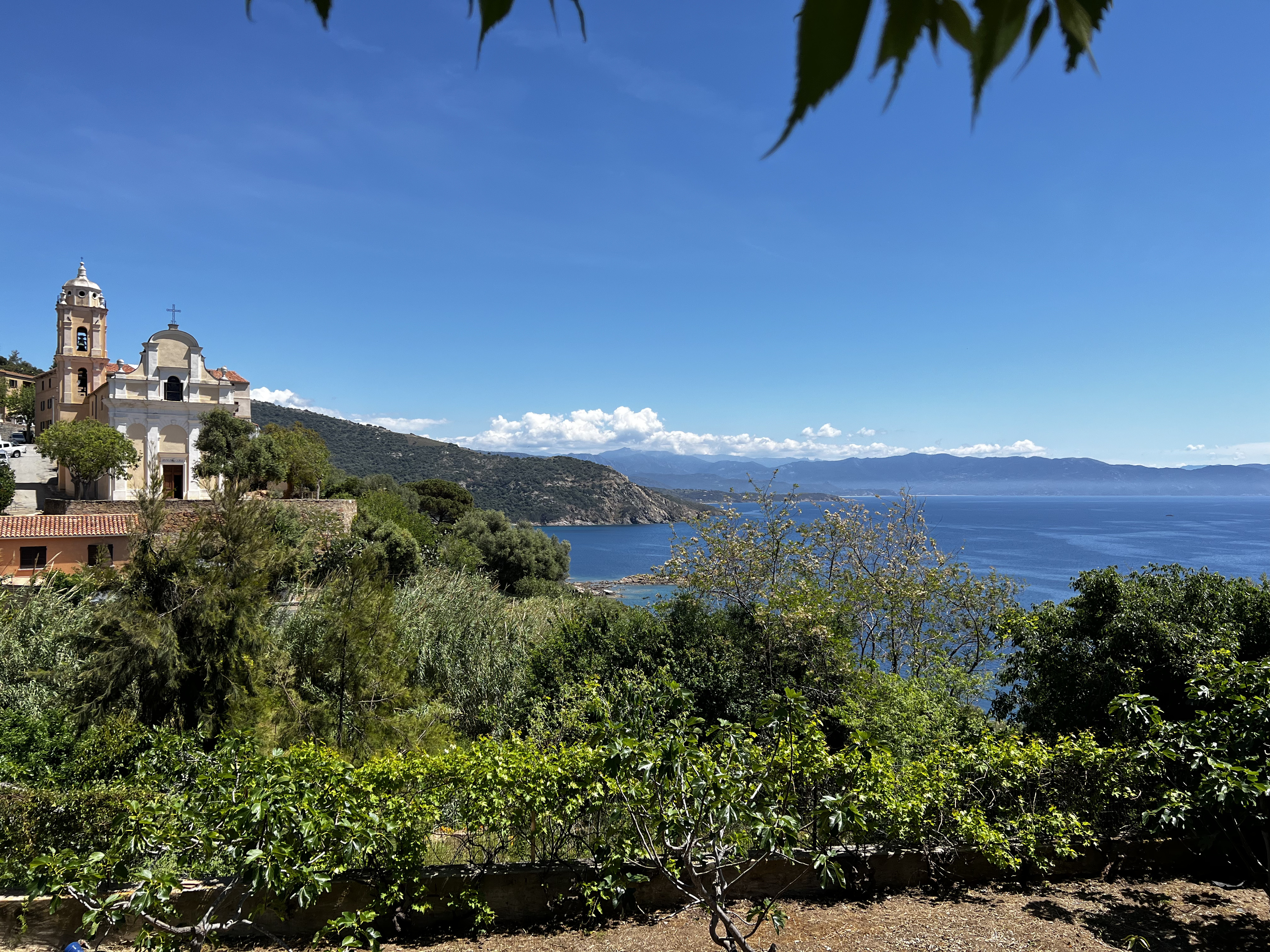 Photo France Corse Cargèse 2023-05 9