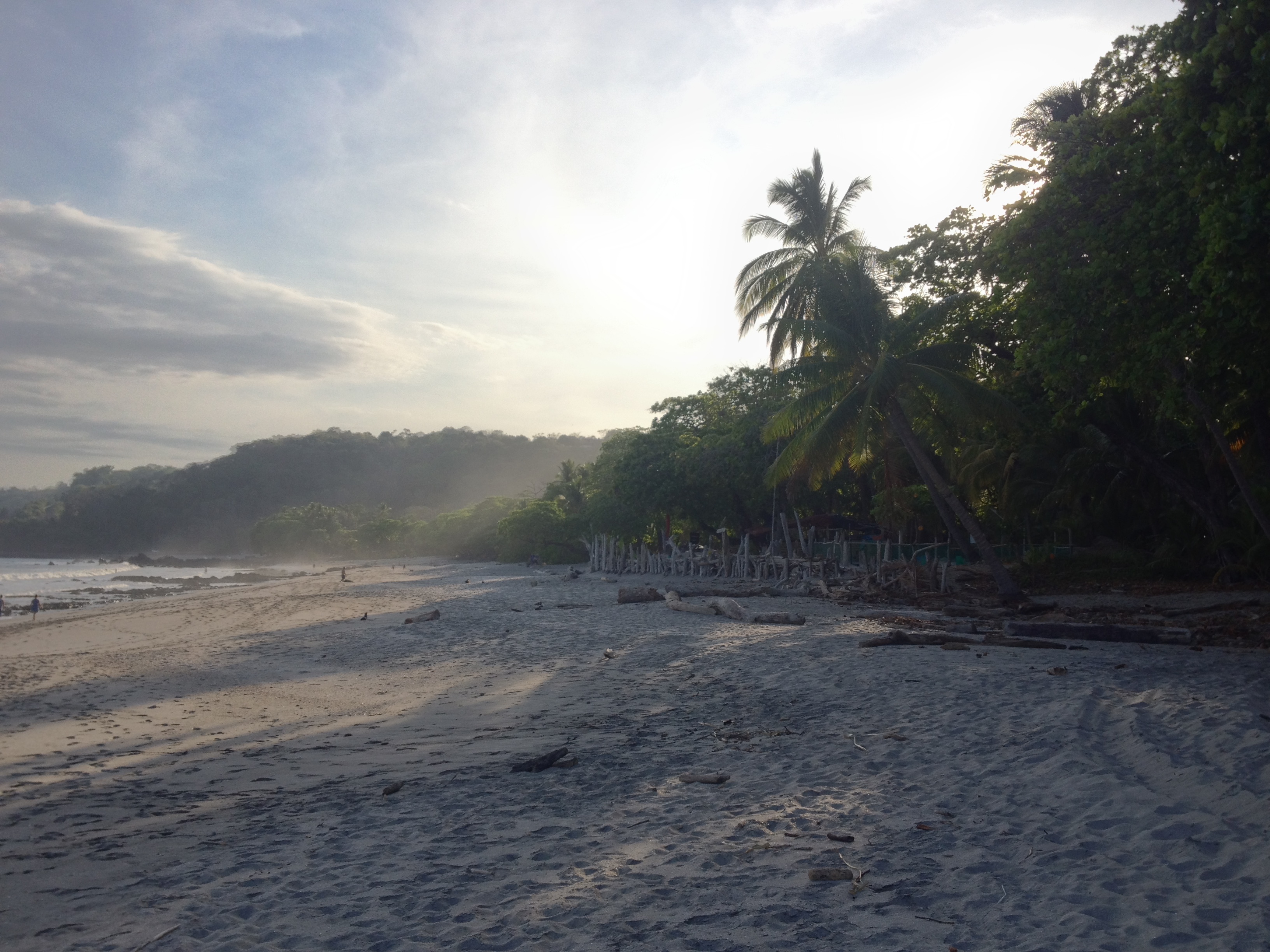 Photo Costa Rica Montezuma 2015-03 524