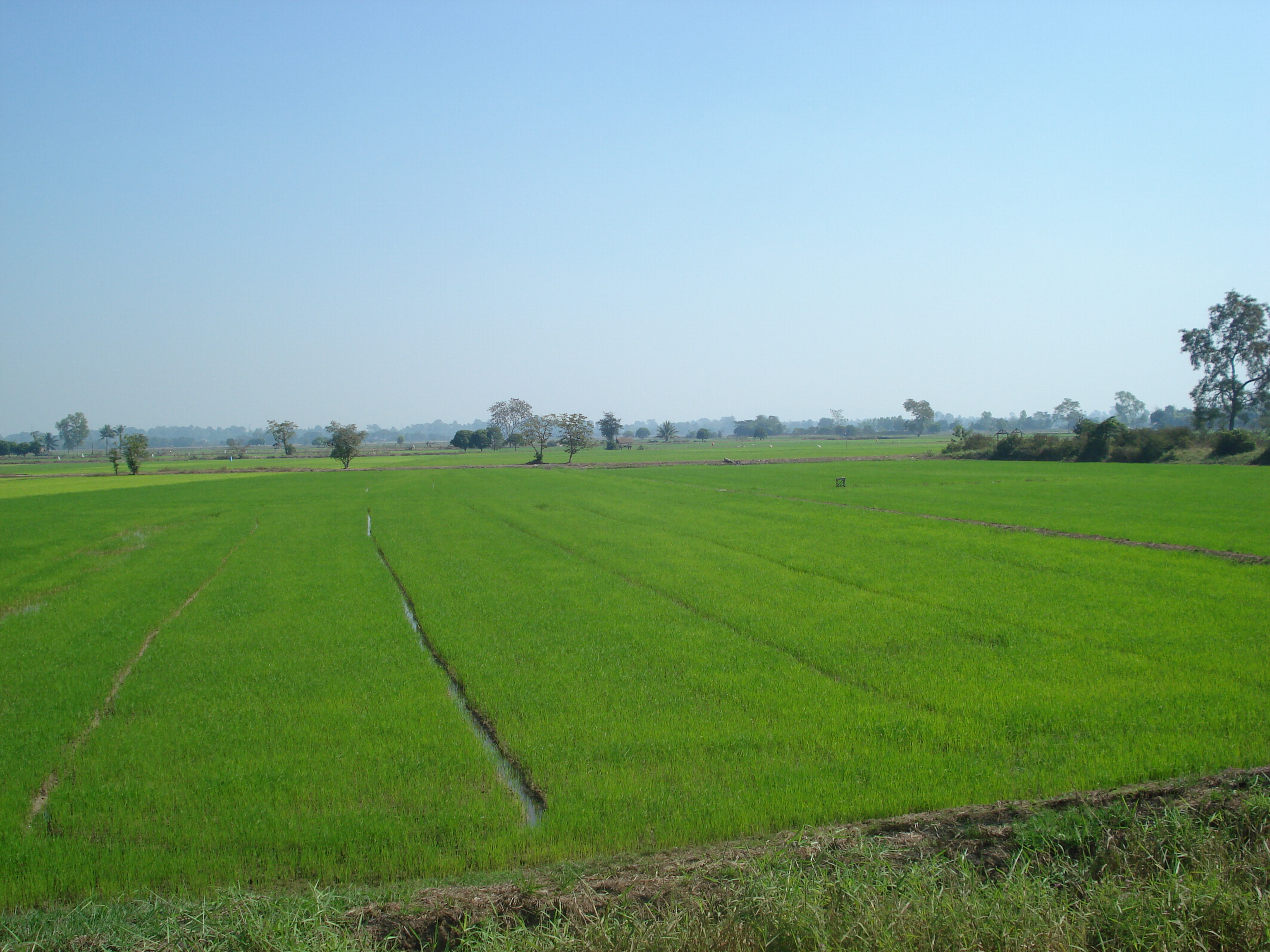 Photo Thaïlande Phitsanulok Rue Singhawat 2008-01 5