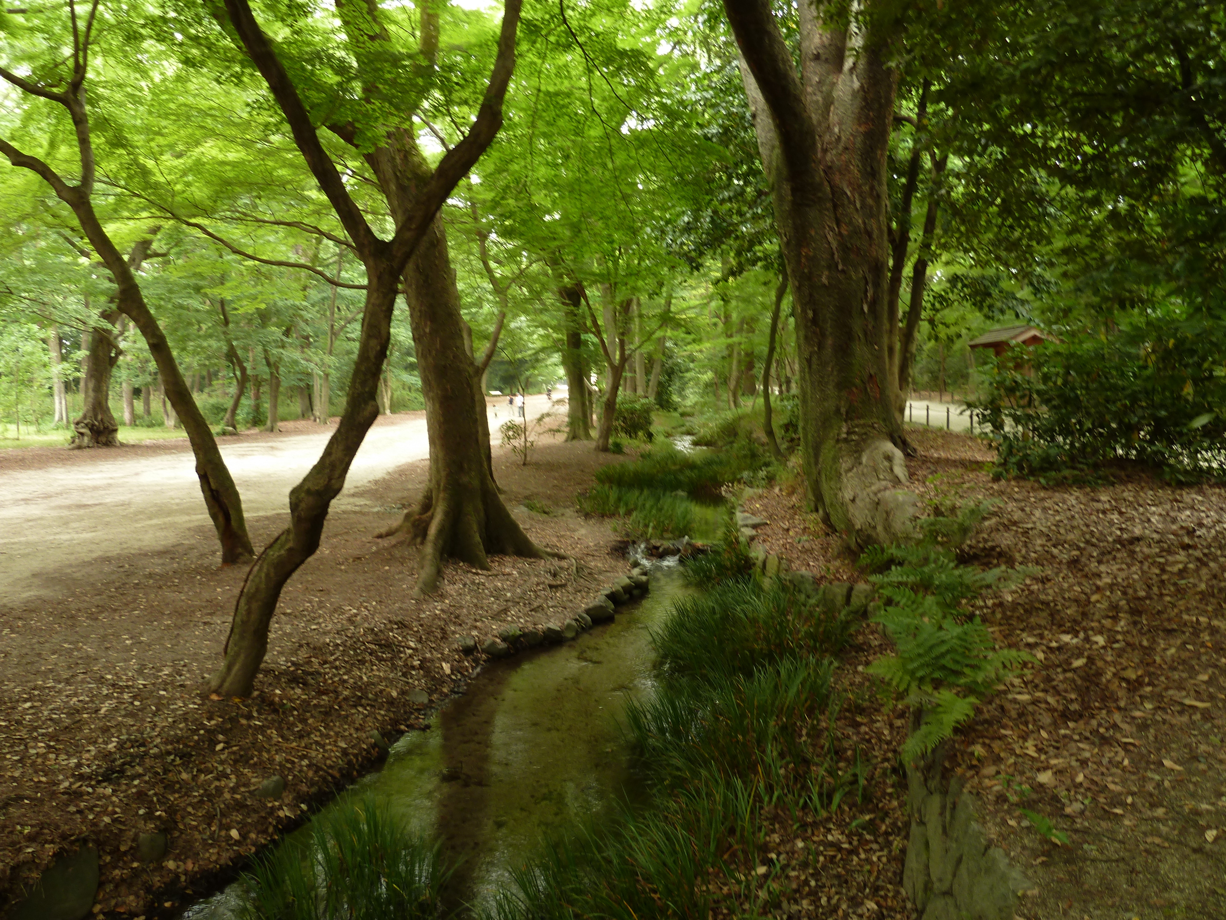 Photo Japon Kyoto Sanctuaire Kamo-mioya (Shimogamo) 2010-06 17