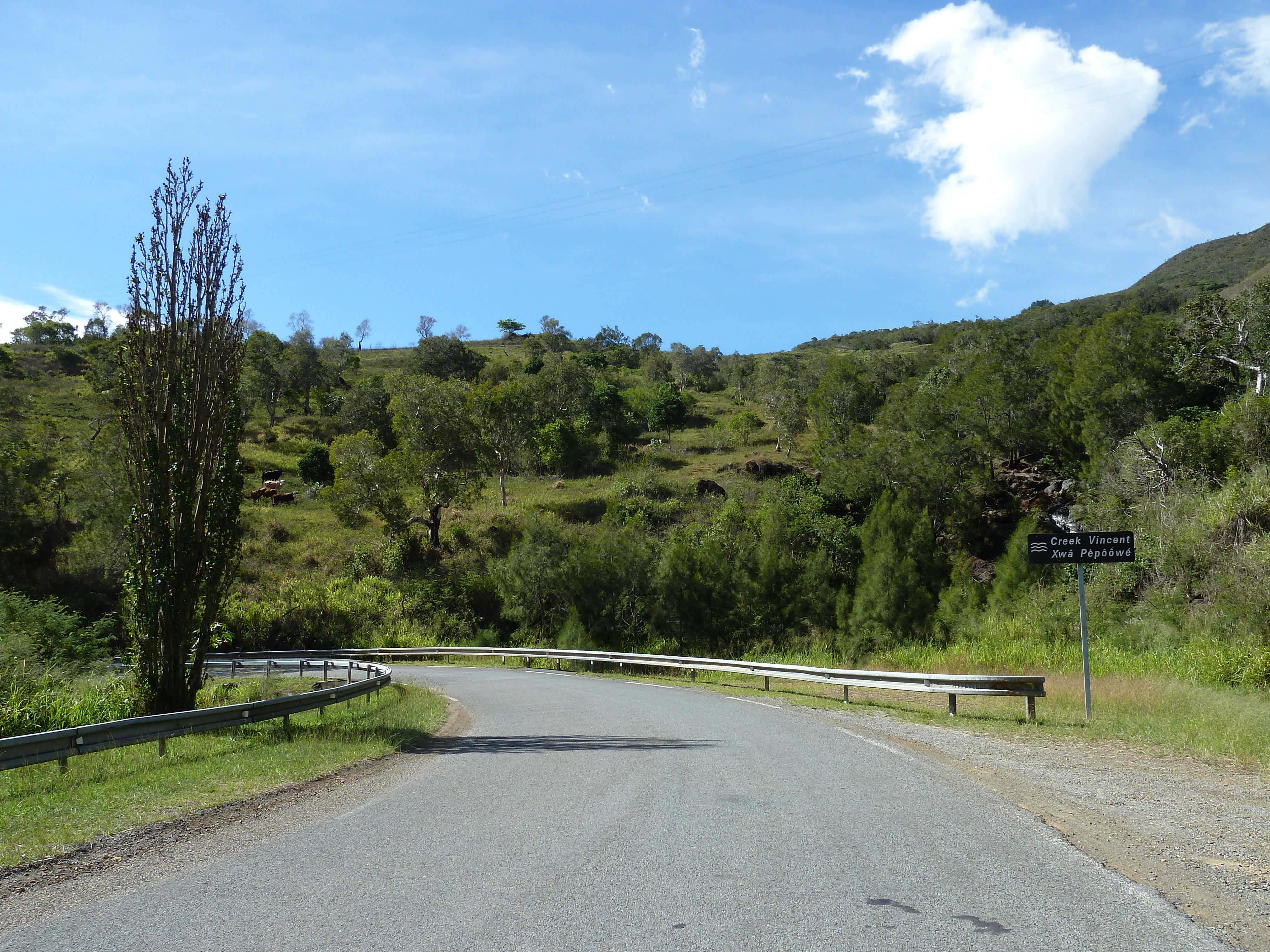 Photo Nouvelle-Calédonie route de Tontouta à Thio 2010-05 14
