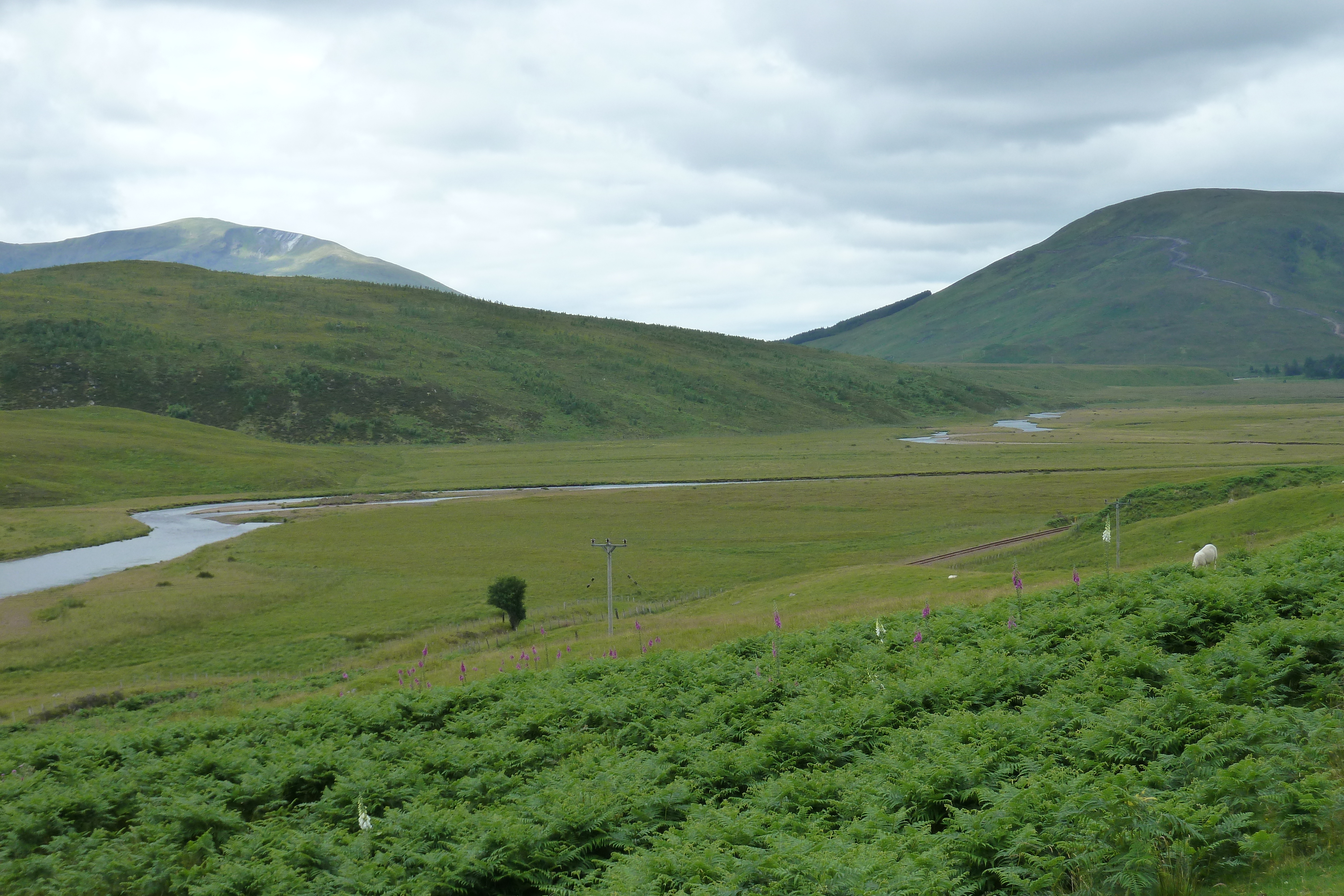Photo Royaume-Uni Wester Ross 2011-07 156