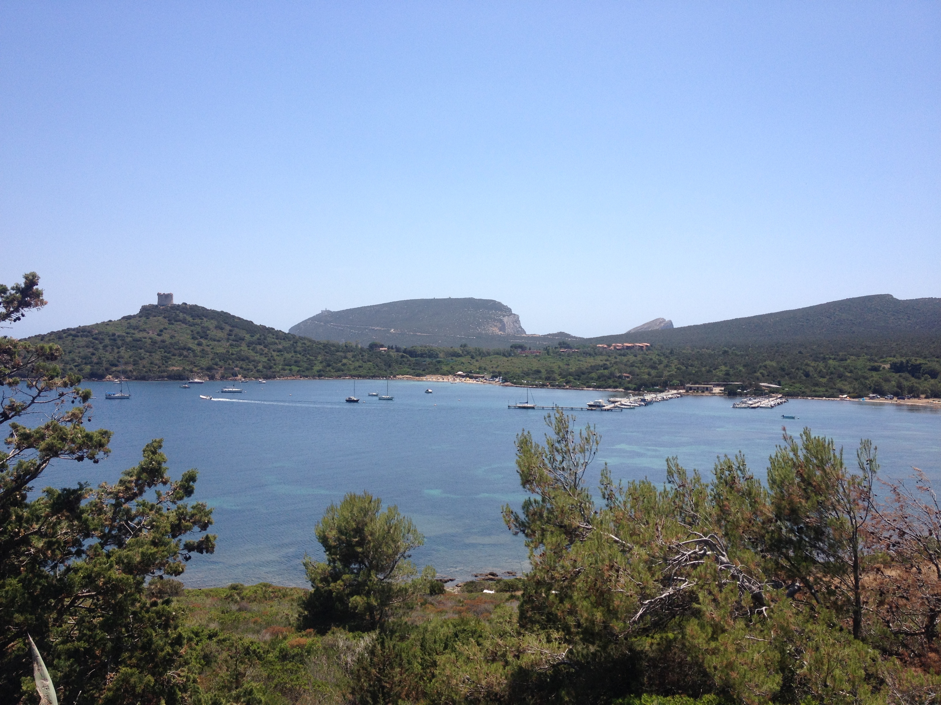 Photo Italie Sardaigne Parc régional de Porto Conte 2015-06 27