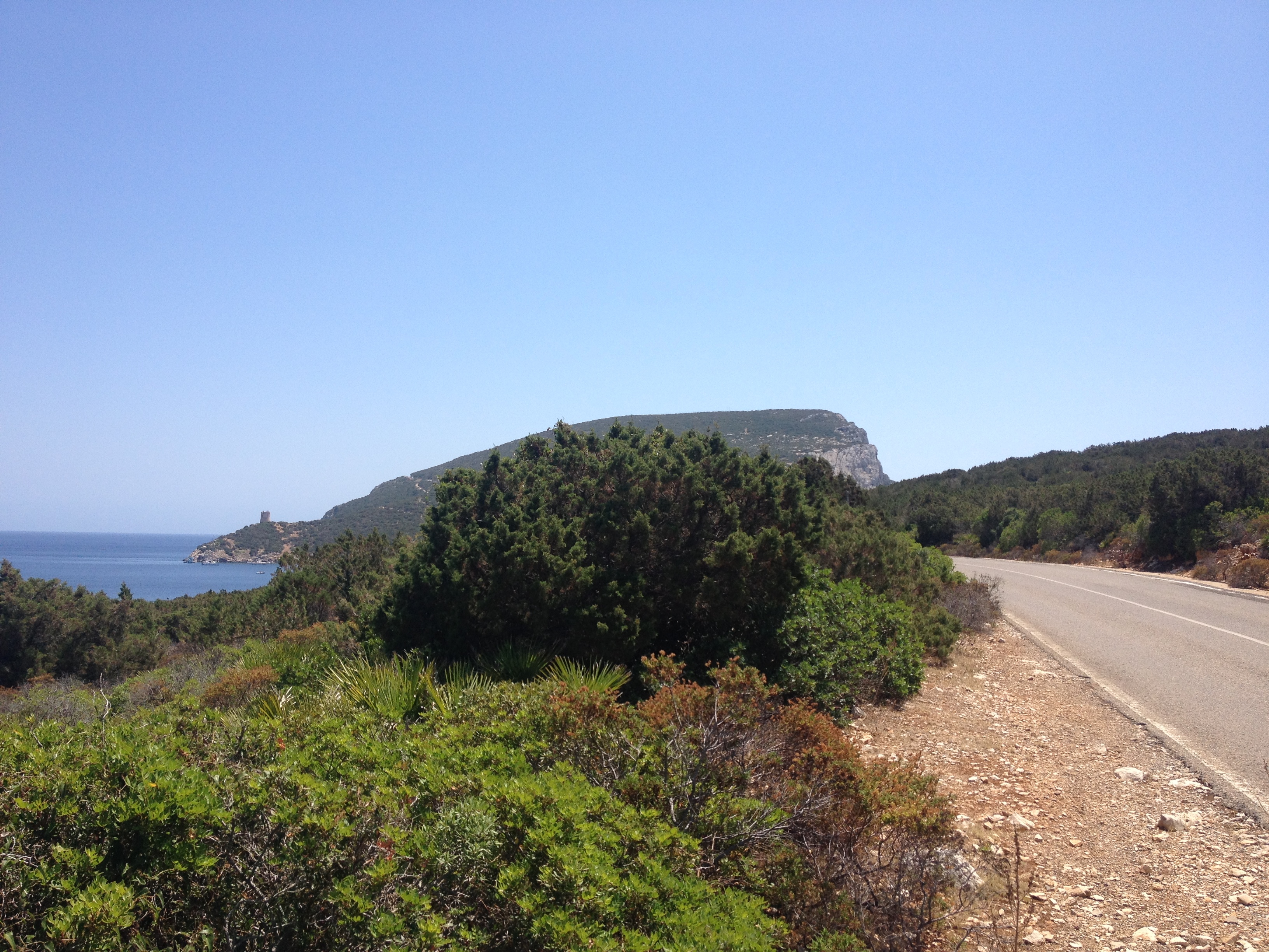 Photo Italie Sardaigne Parc régional de Porto Conte 2015-06 13
