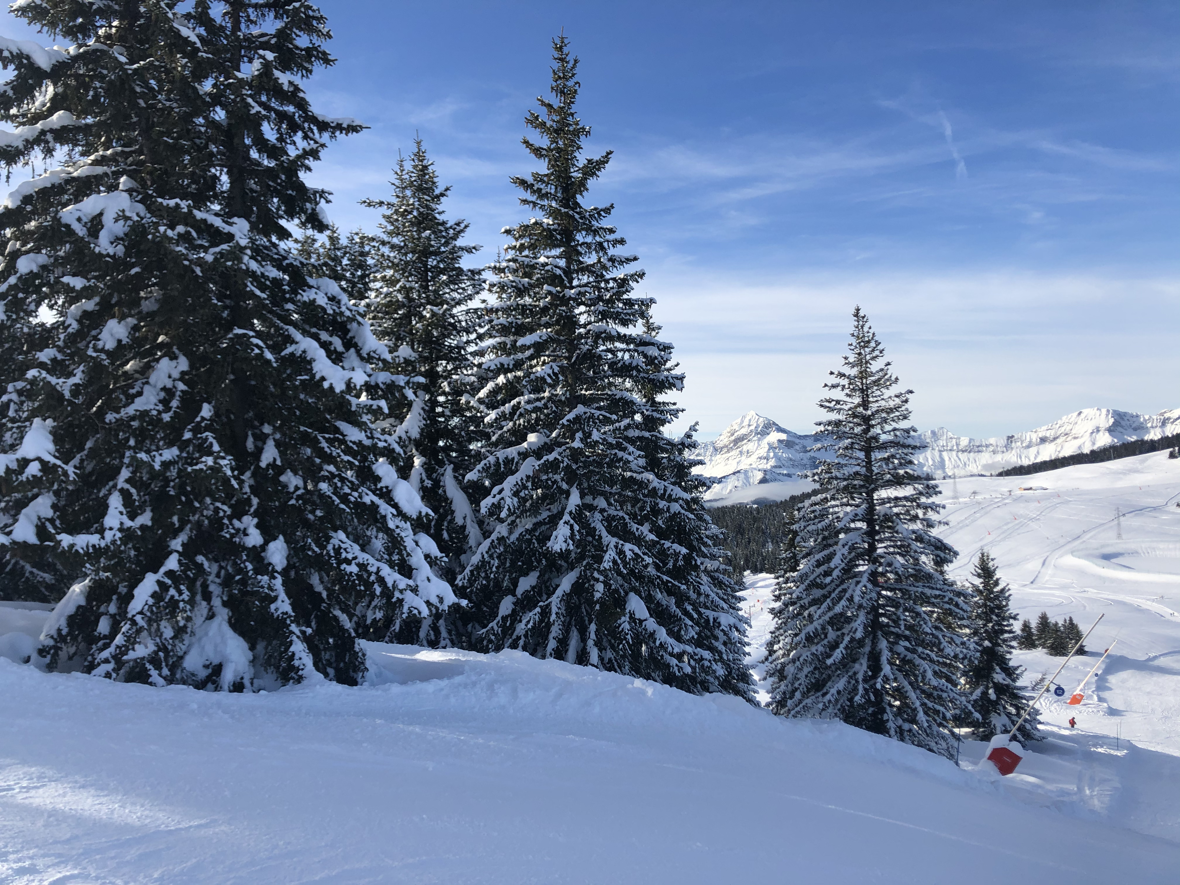 Photo France Praz sur Arly 2019-12 420