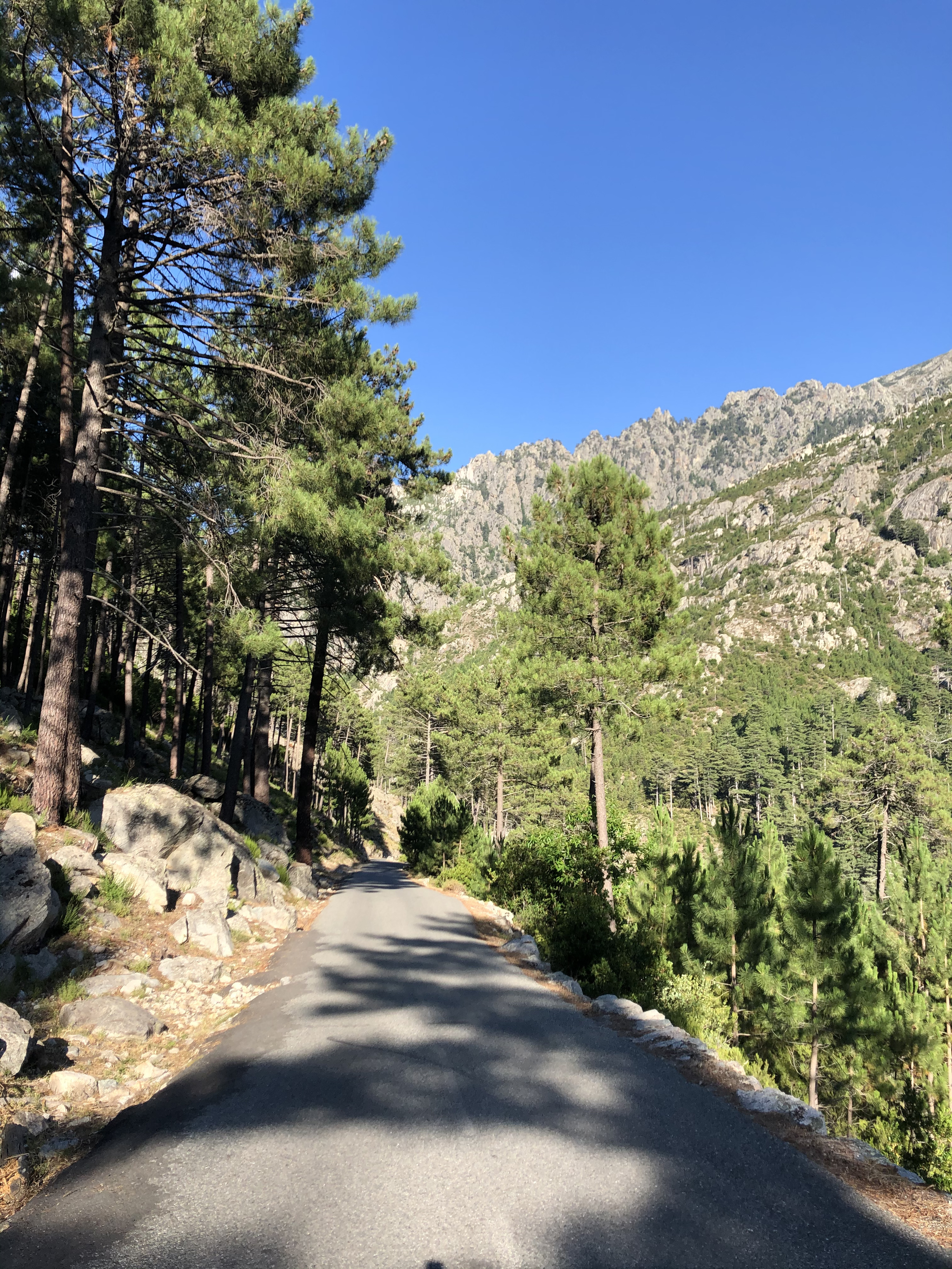 Photo France Corse La Restonica 2020-07 100