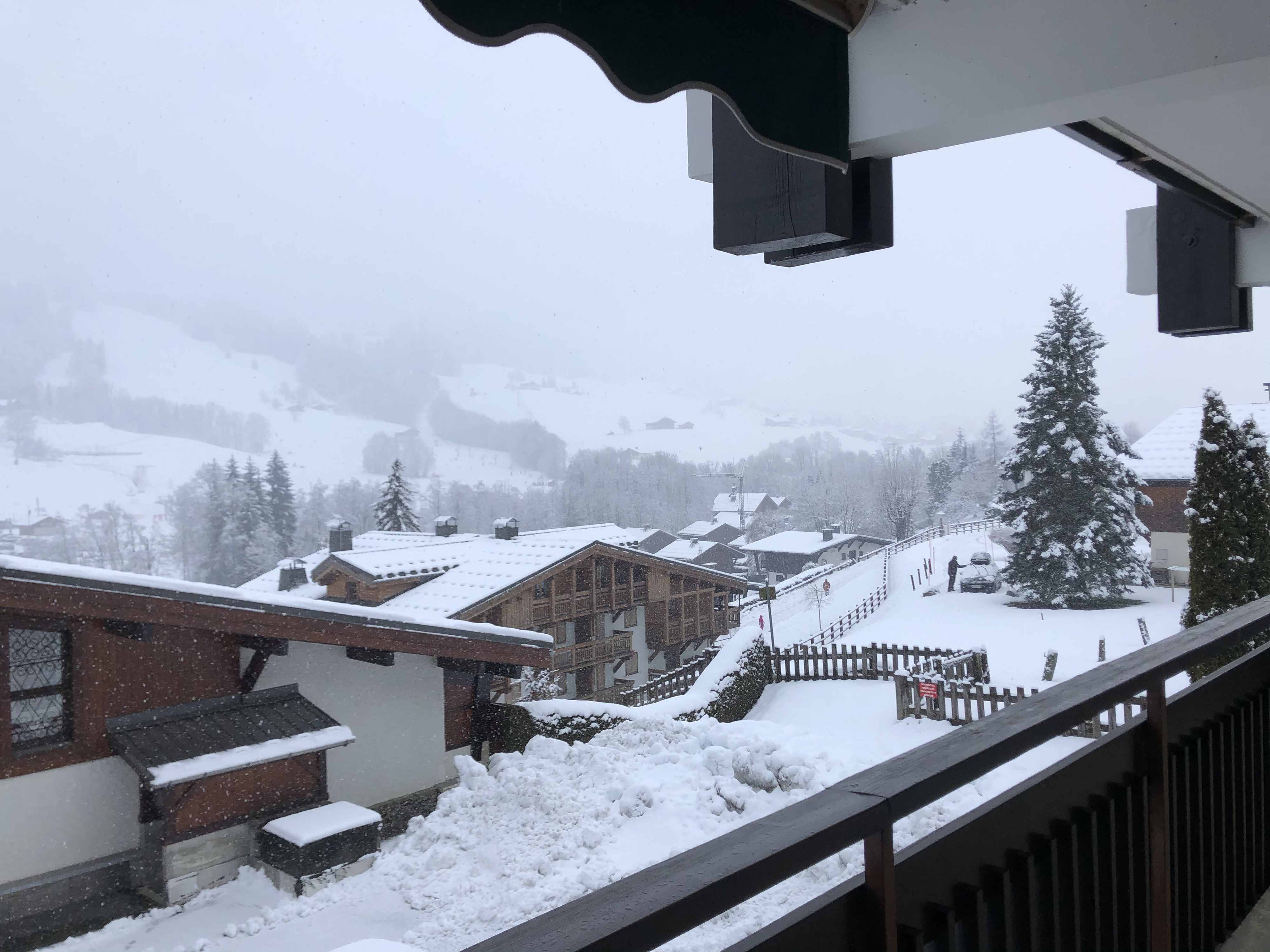 Photo France Praz sur Arly 2019-12 140