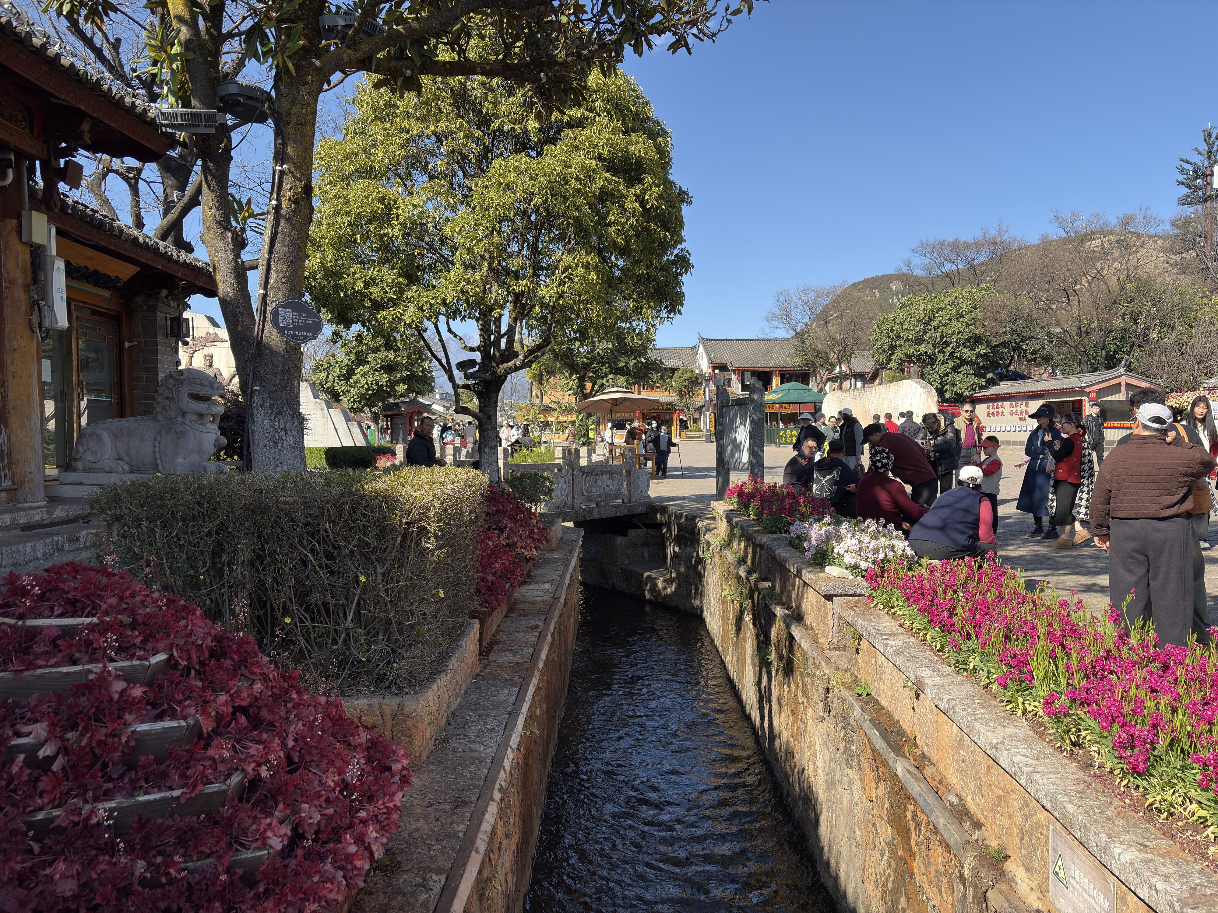 Photo Chine Lijiang 2026-01 725