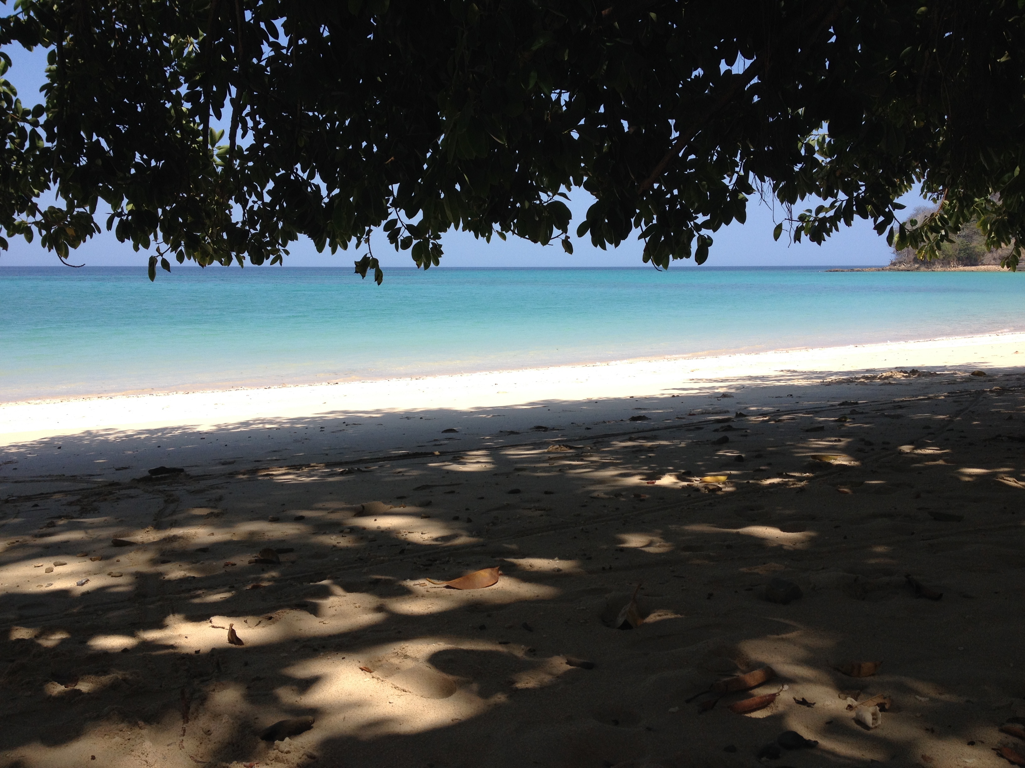 Photo Panama Ile de Contadora 2015-03 148