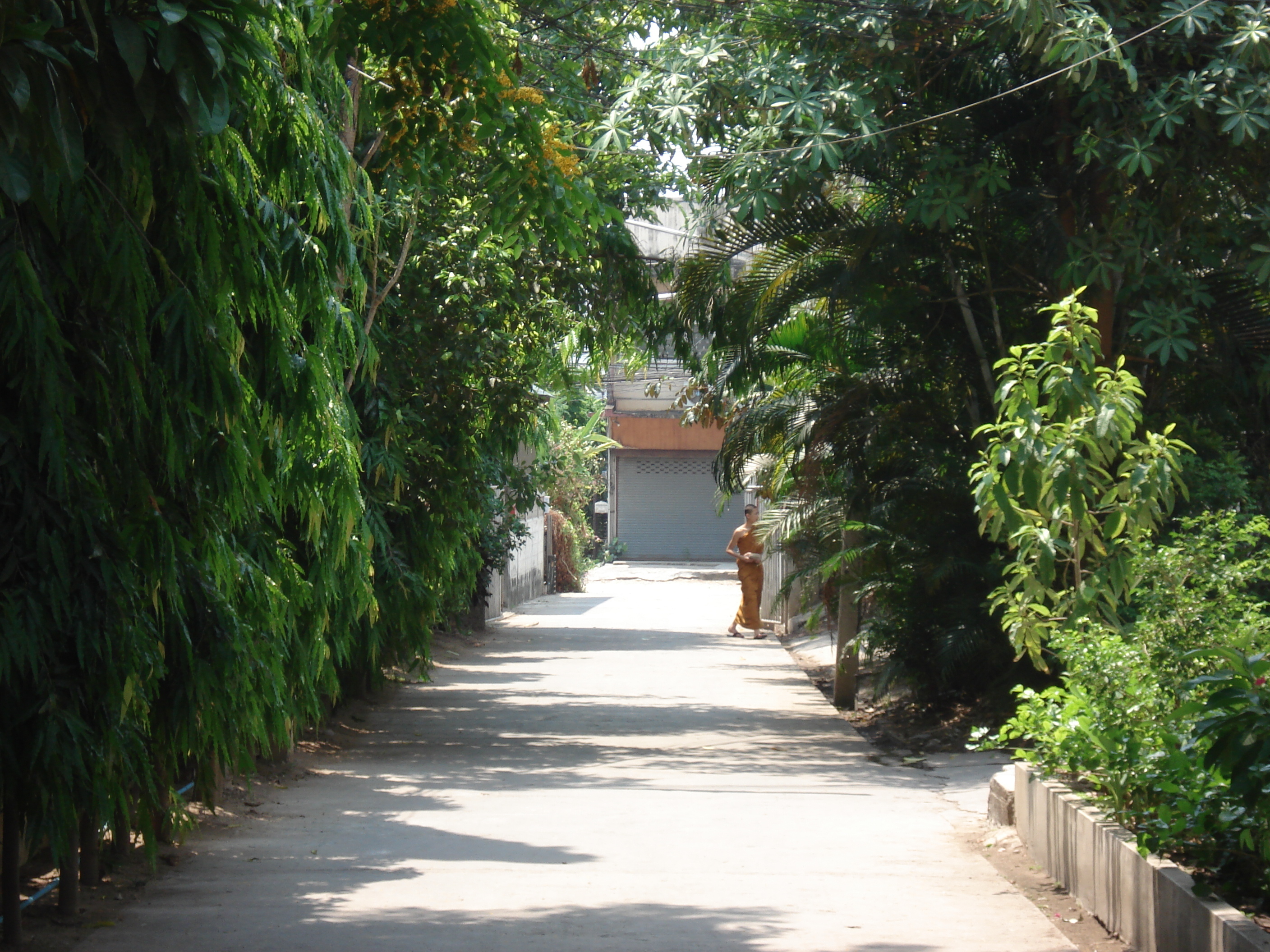 Photo Thaïlande Chiang Mai Centre(intra Canal) Temple Chediluang Varaviharn 2006-04 9