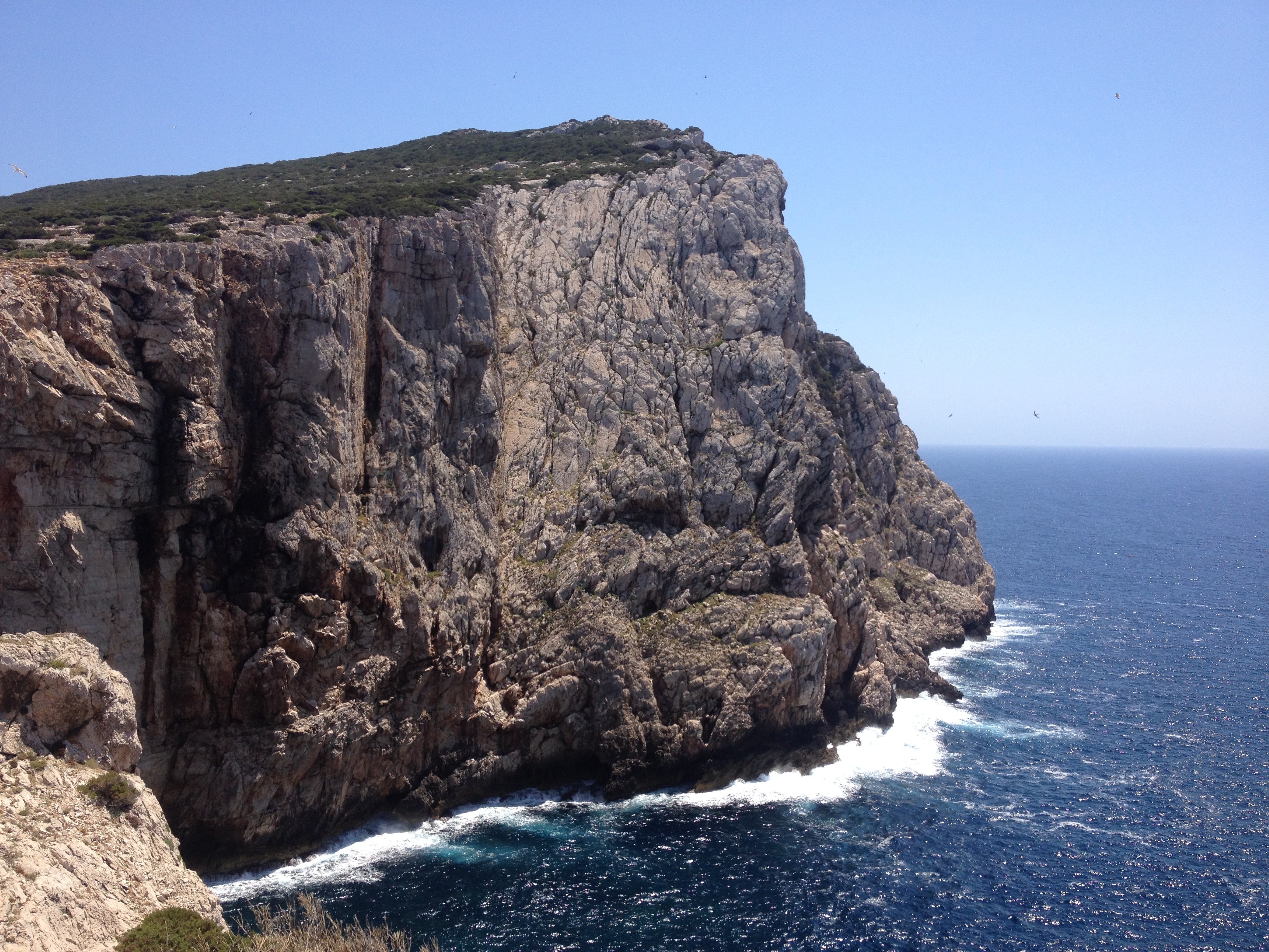 Photo Italie Sardaigne Parc régional de Porto Conte 2015-06 17