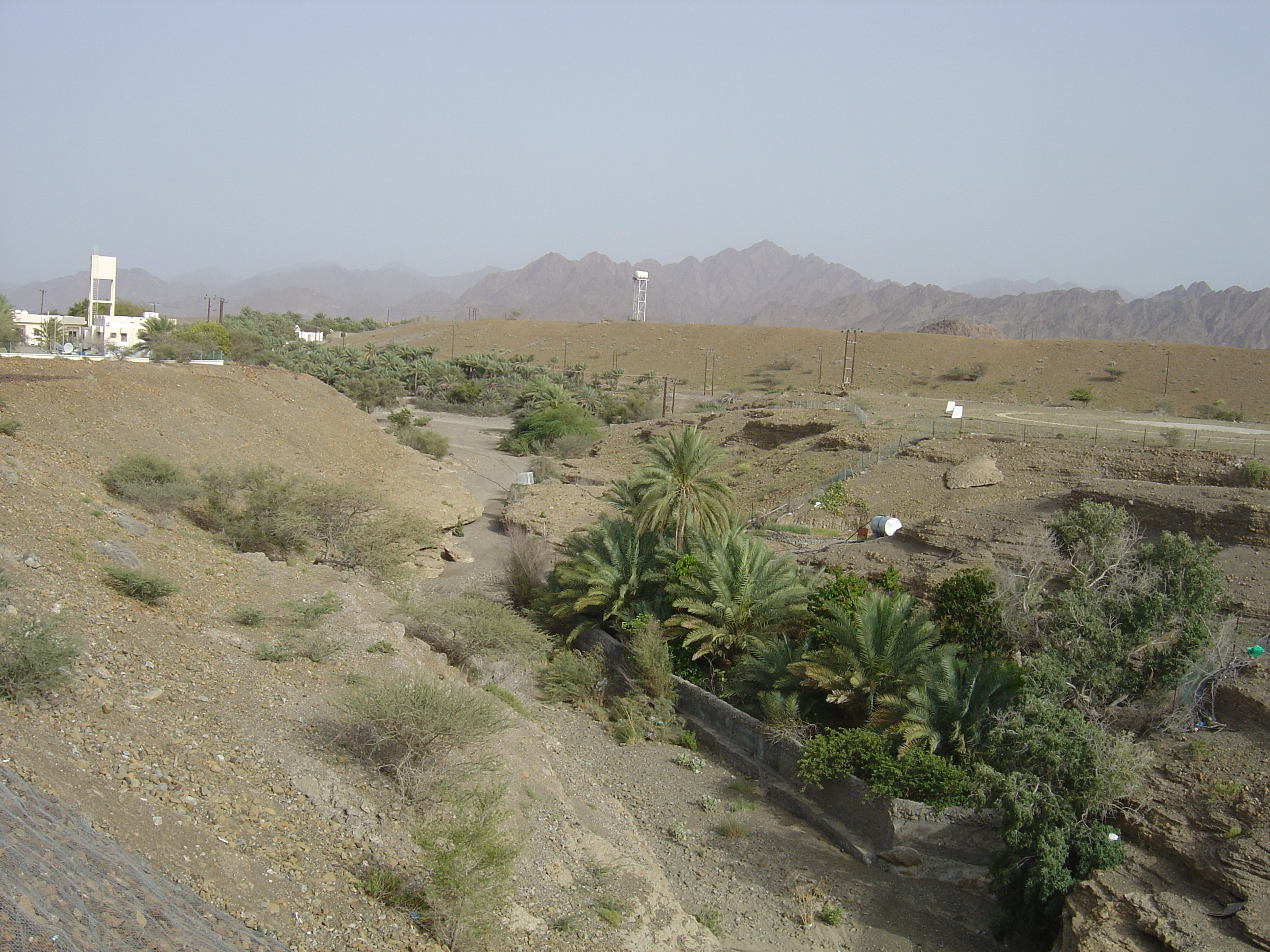 Photo Oman Route de Buraimi à Sohar 2005-03 22