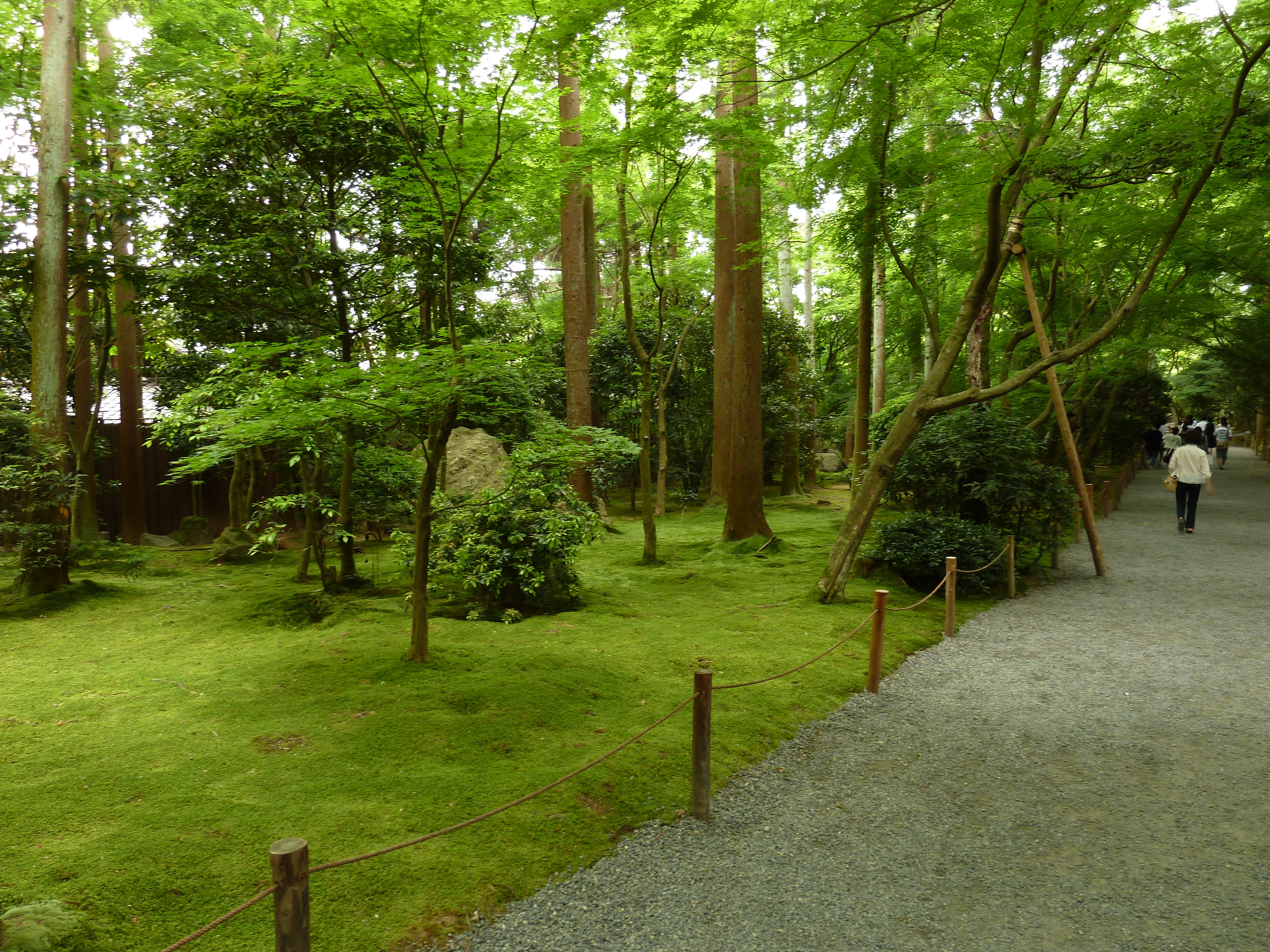 Photo Japon Kyoto temple Ryoanji 2010-06 37