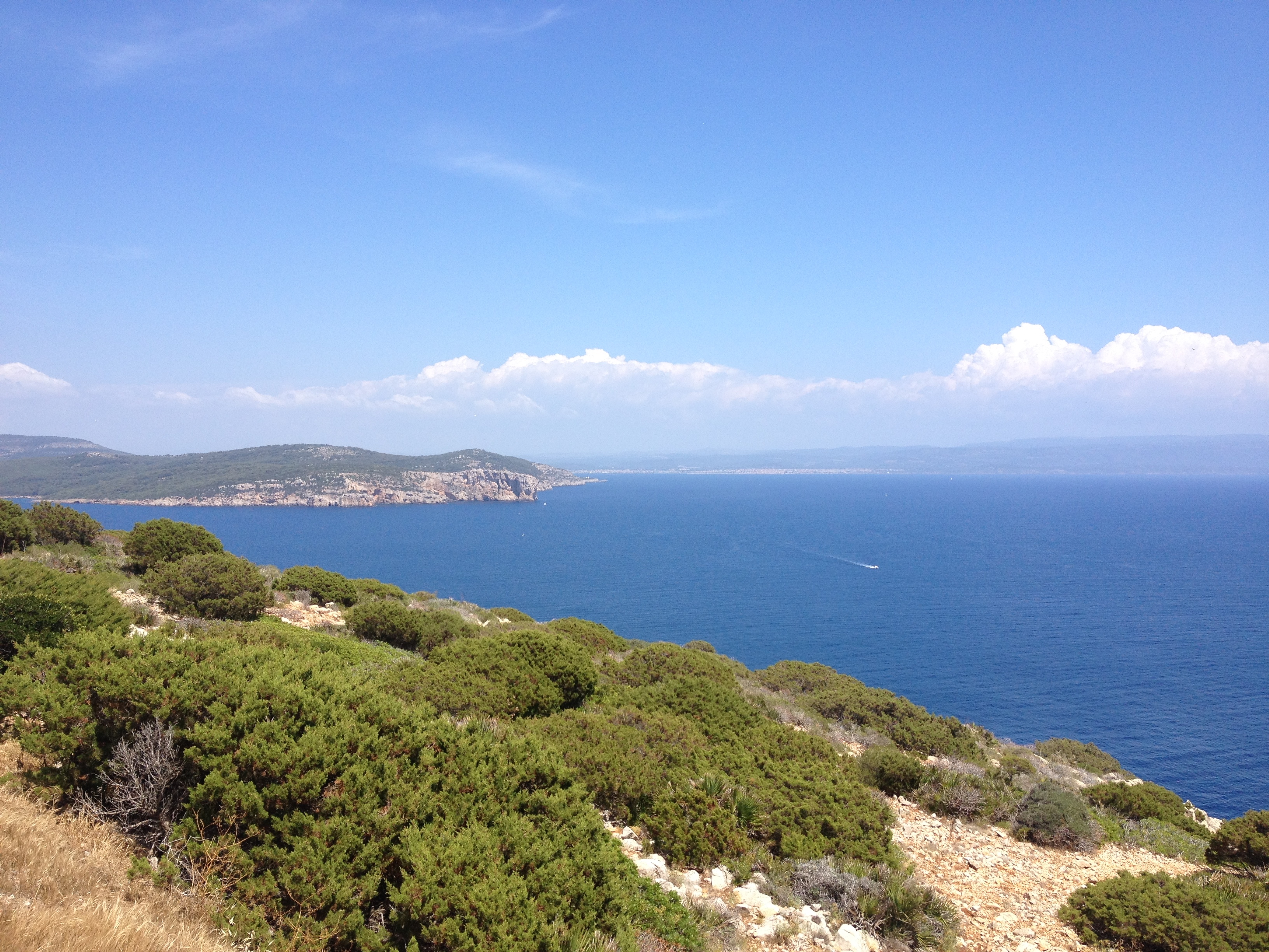 Photo Italie Sardaigne Parc régional de Porto Conte 2015-06 15