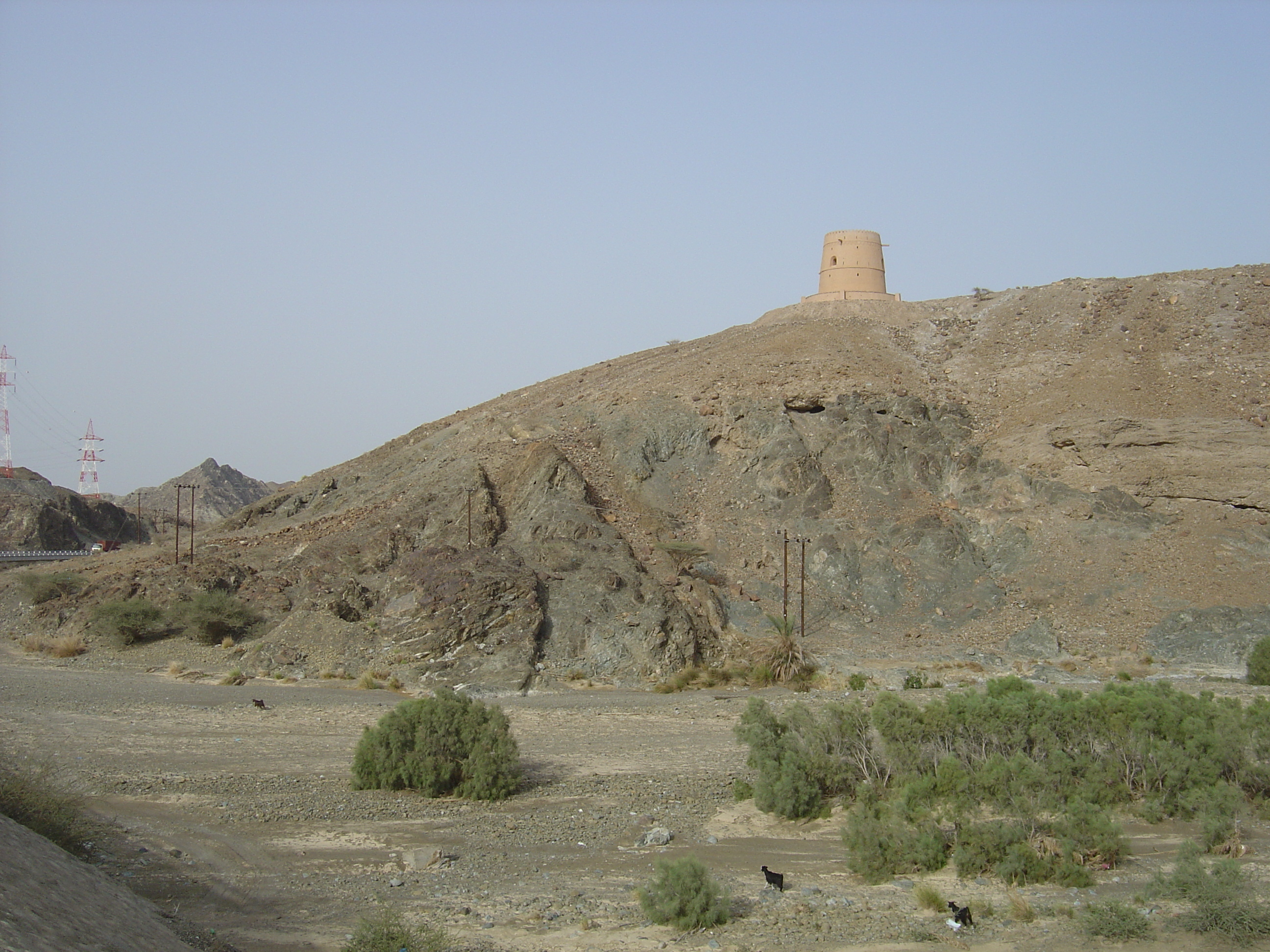 Photo Oman Route de Buraimi à Sohar 2005-03 27