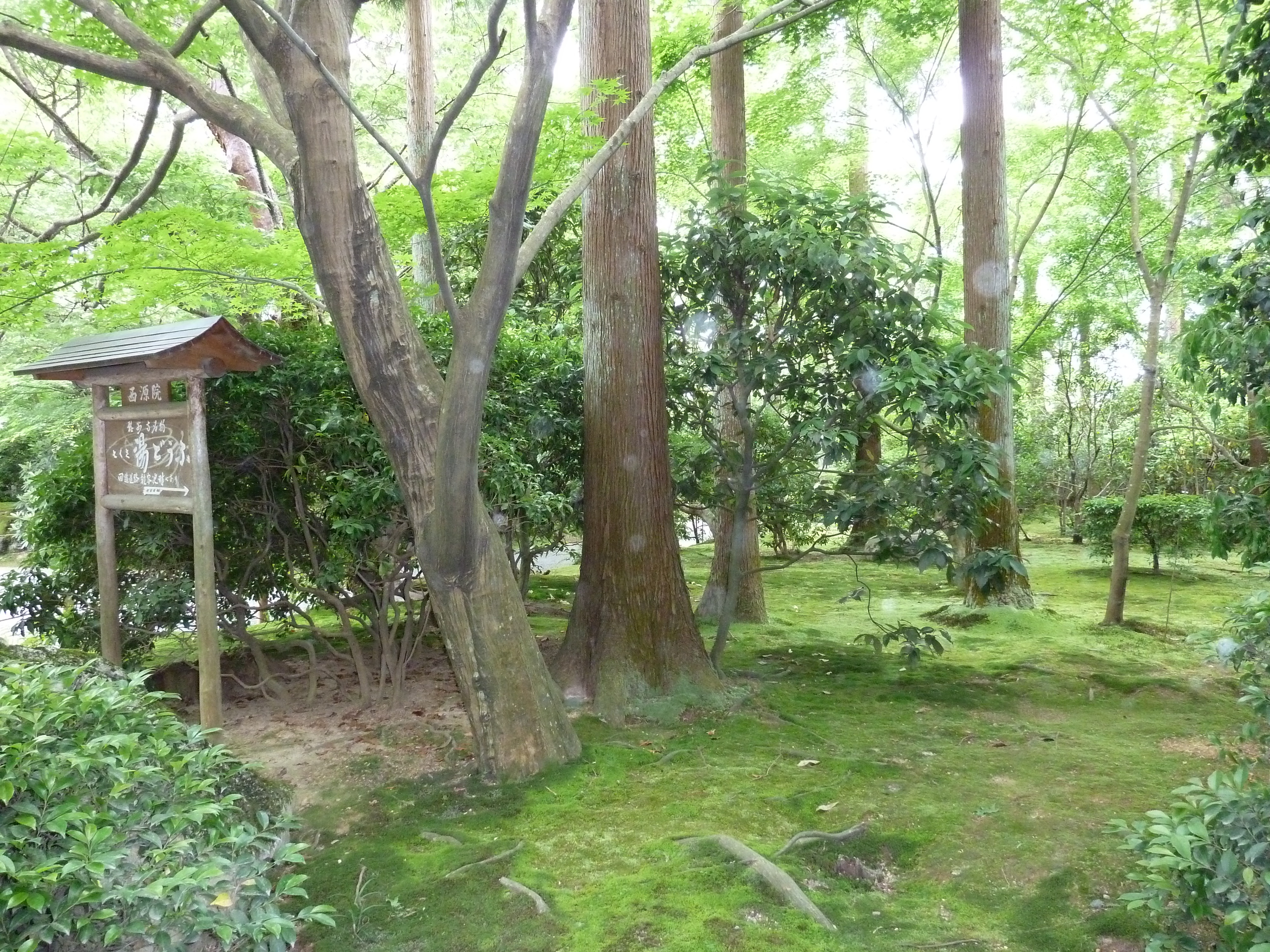 Photo Japon Kyoto temple Ryoanji 2010-06 41