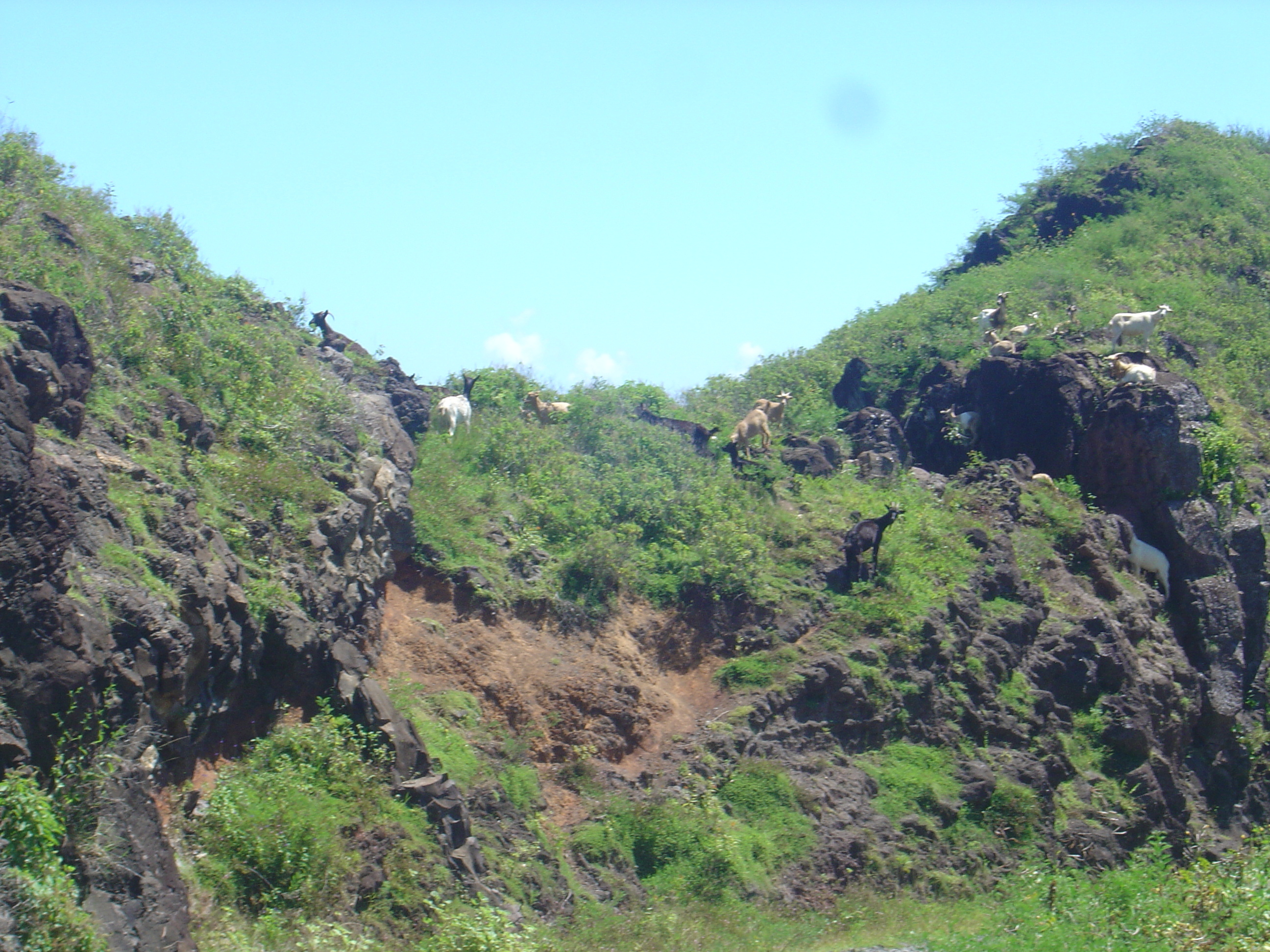 Photo Polynésie Marquises 2006-04 129
