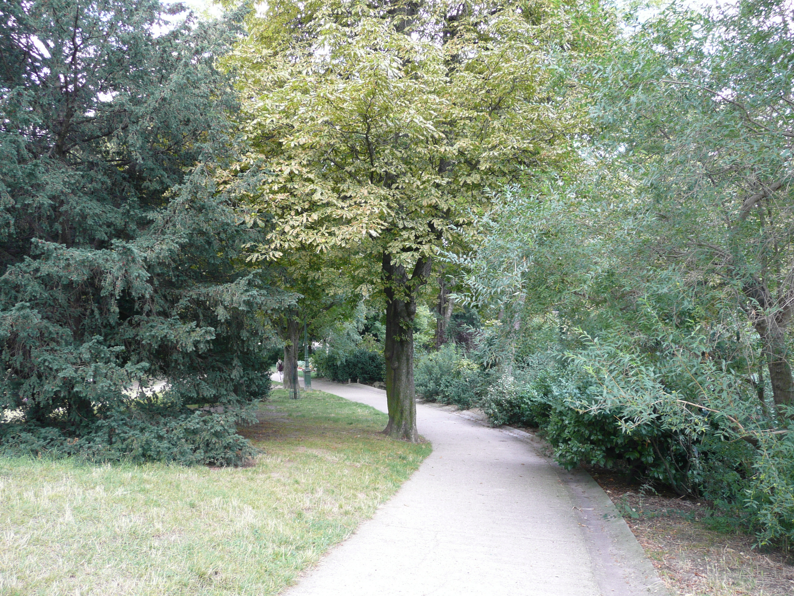 Photo France Paris Parc des Buttes-Chaumont 2007-08 127