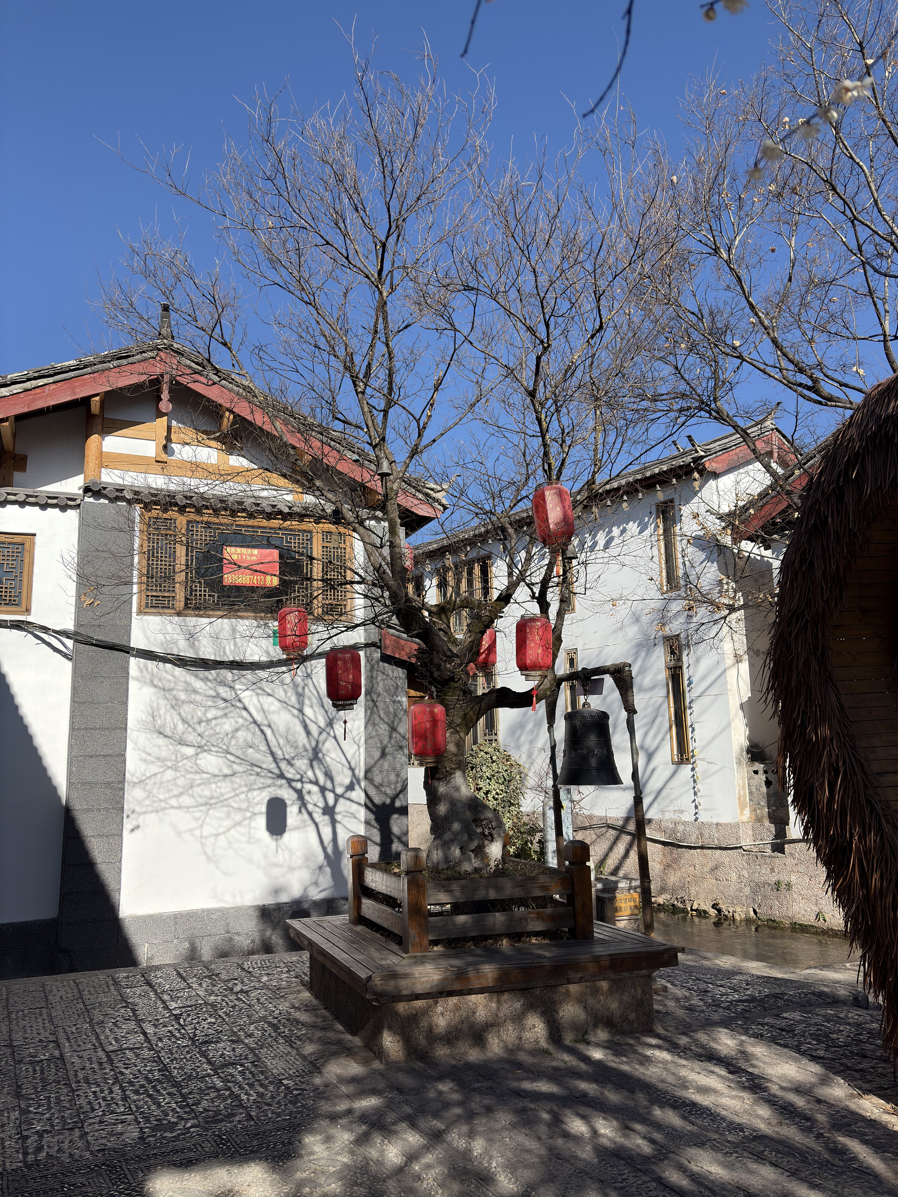 Photo Chine Lijiang 2026-01 451