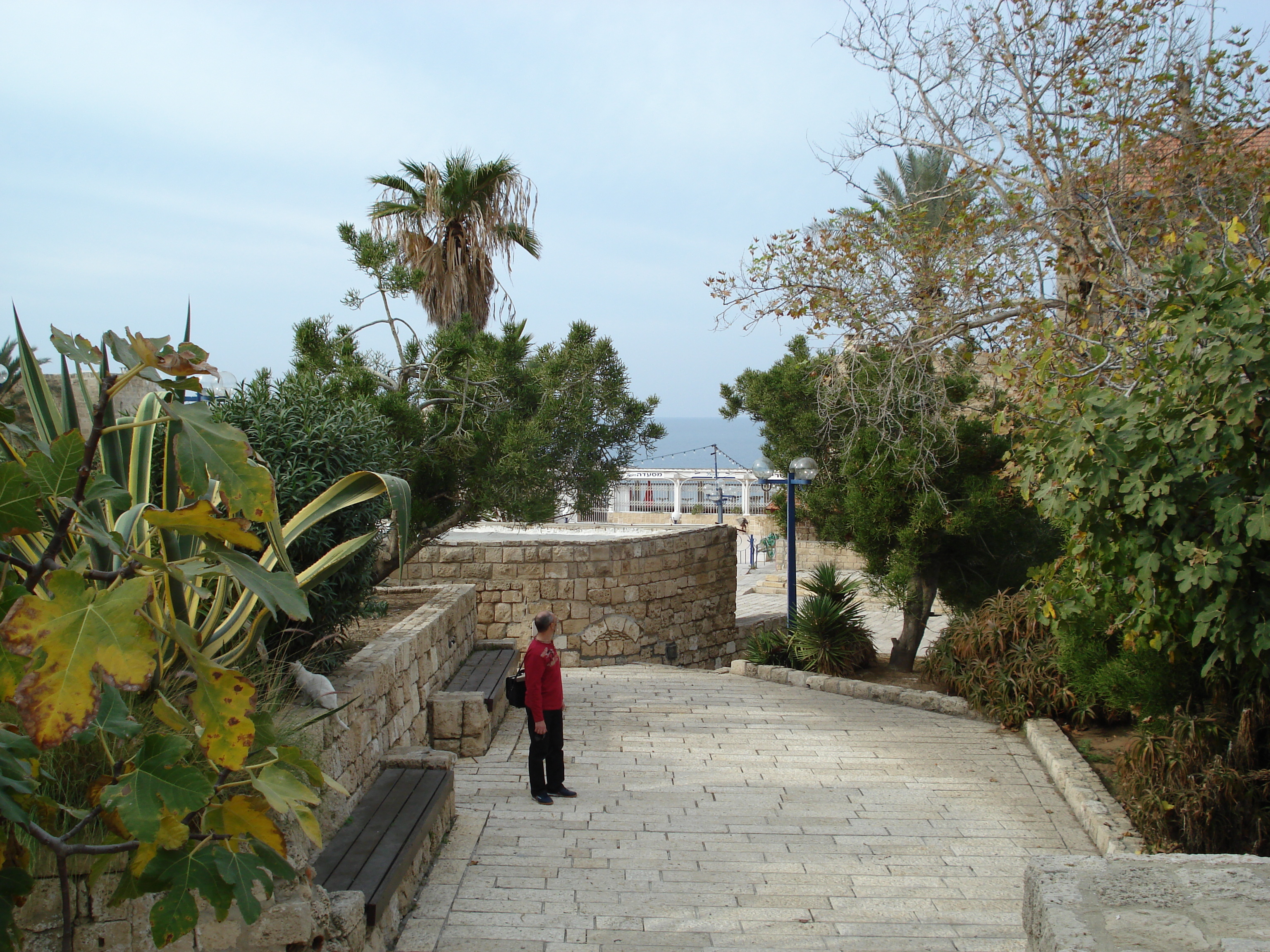Photo Israel Jaffa 2006-12 72