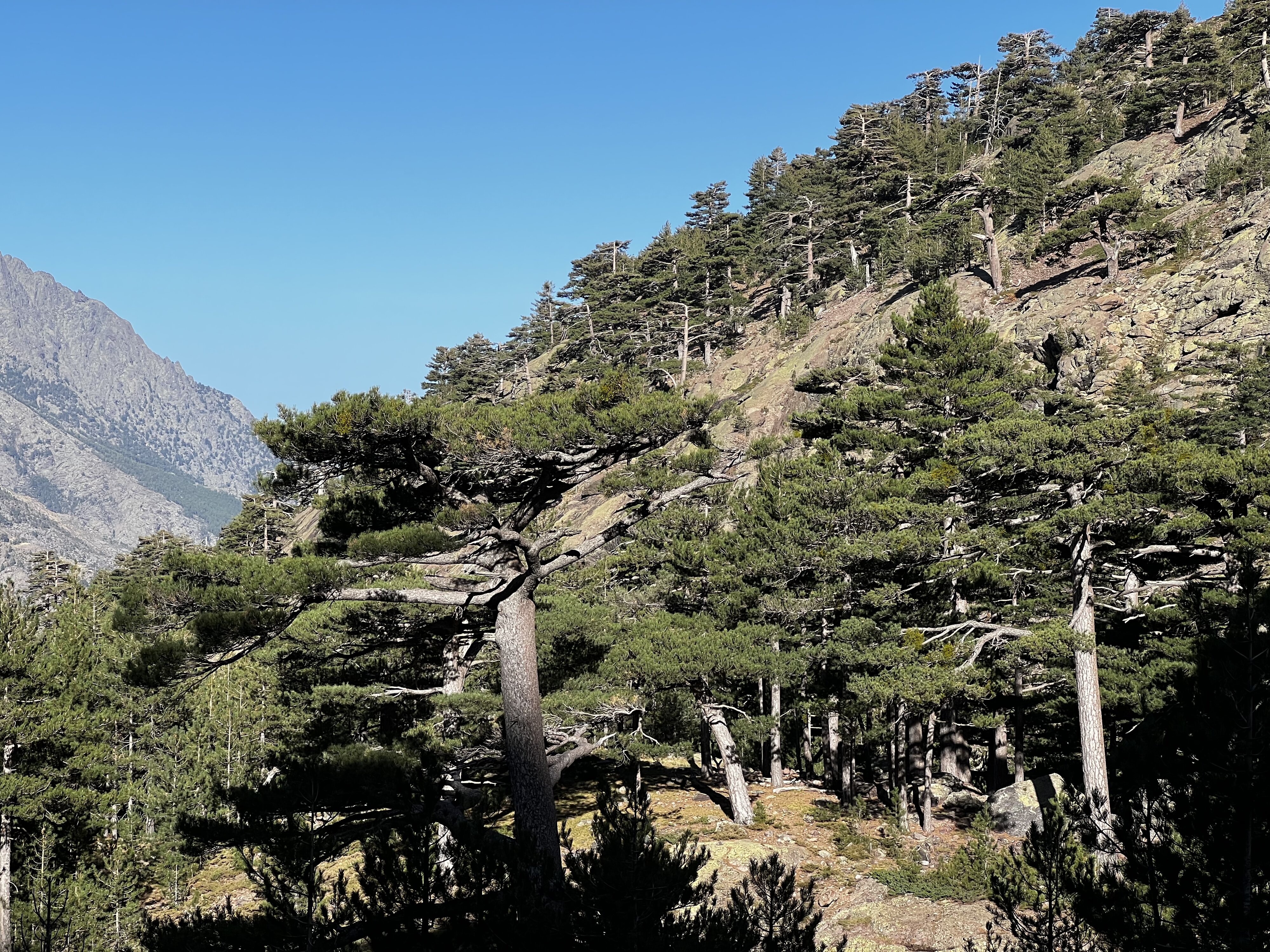 Photo France Corse Monte Cinto 2023-10 69
