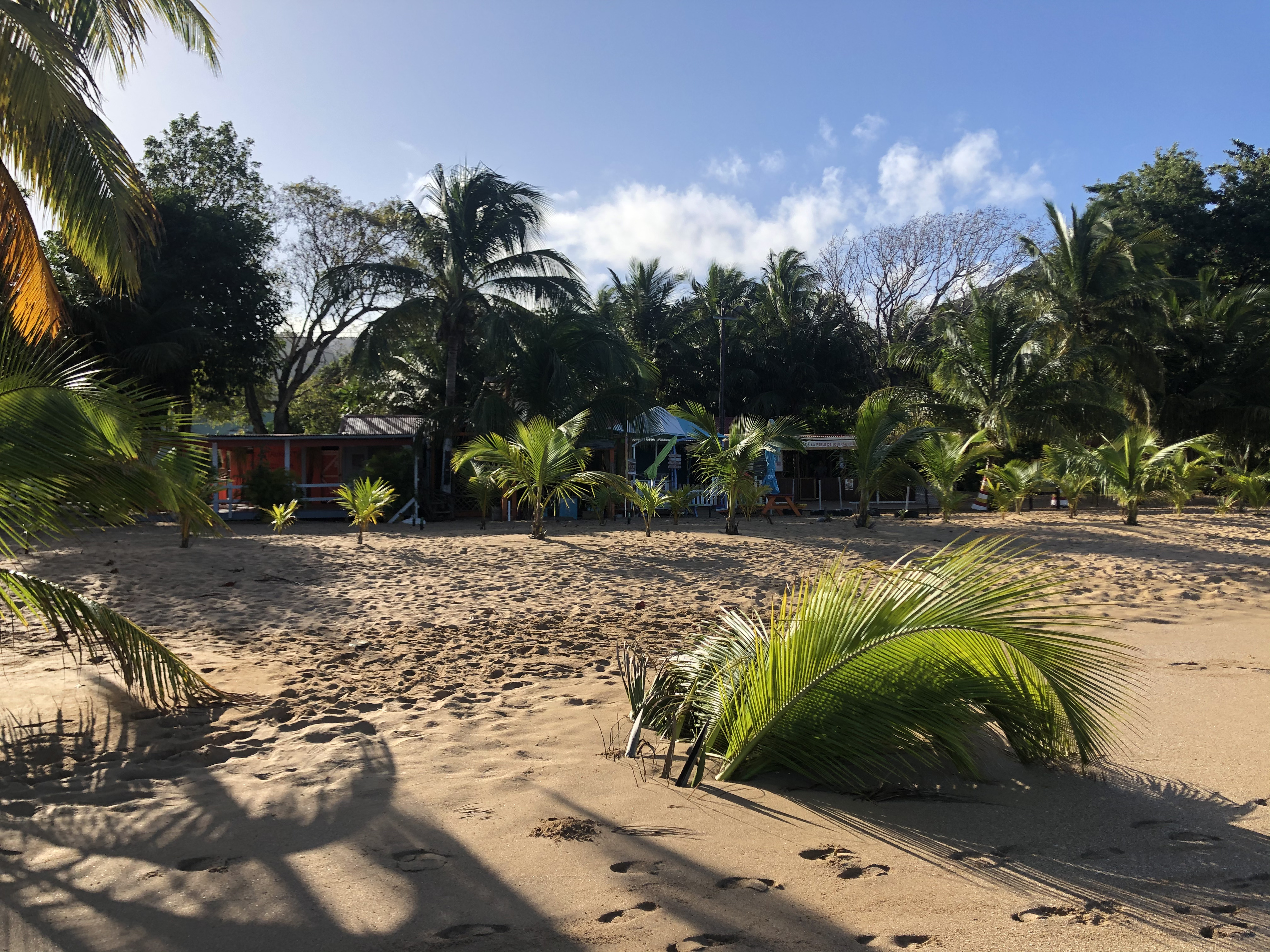 Photo Guadeloupe Plage de la Perle 2021-02 33