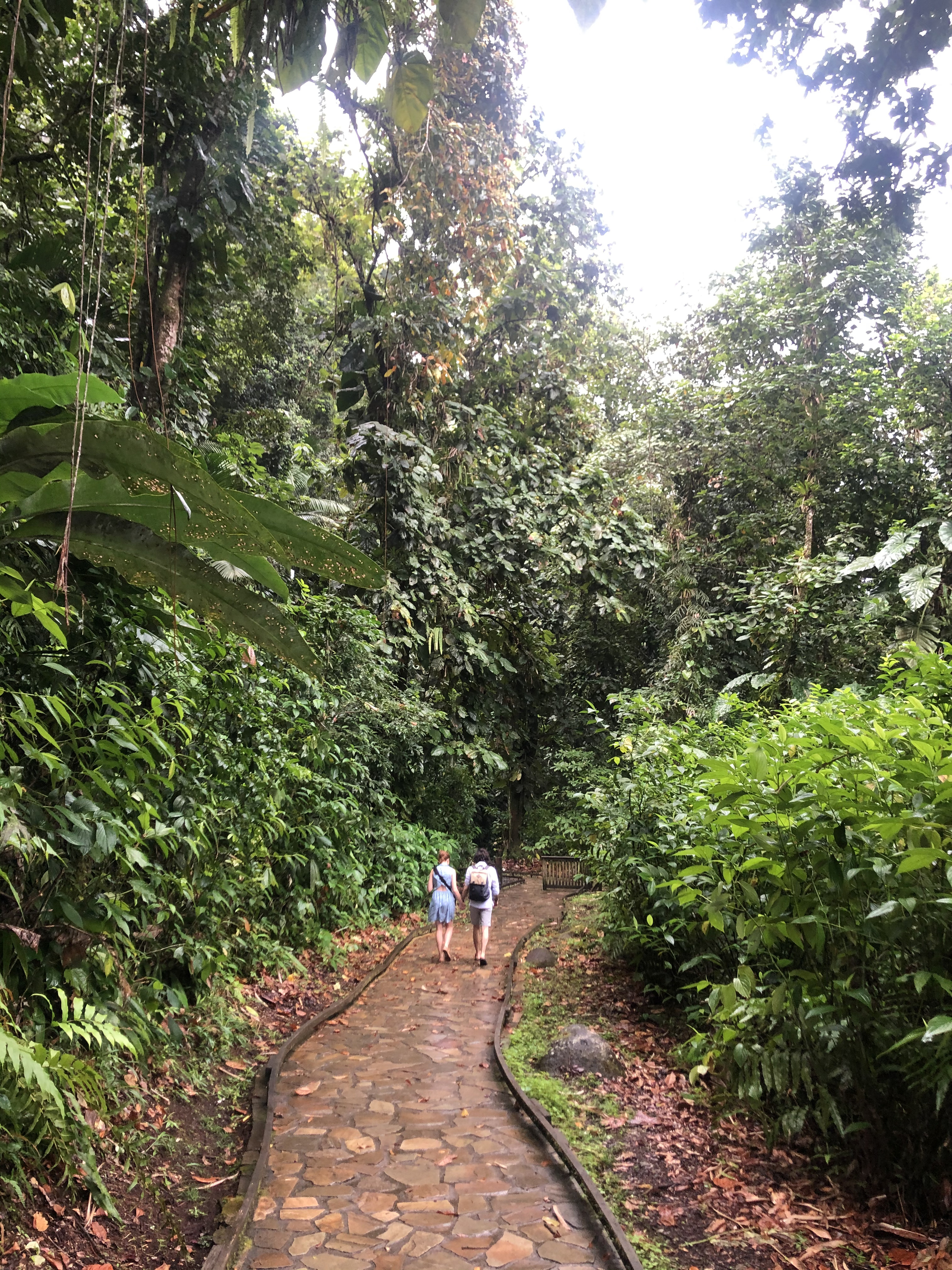 Photo Guadeloupe Cascade aux écrevisses 2021-02 12