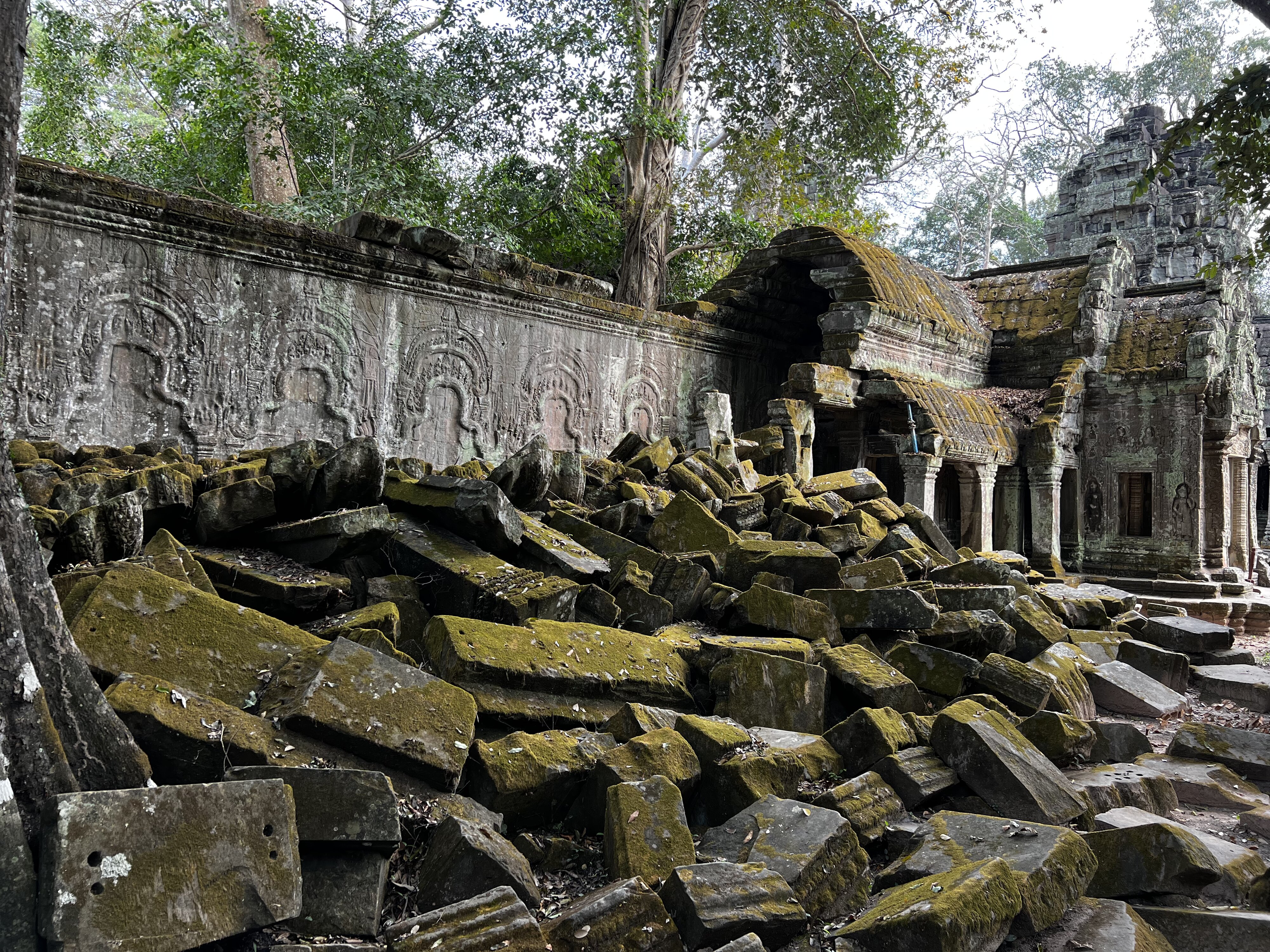 Photo Cambodge Siem Reap Ta Prohm 2023-01 151
