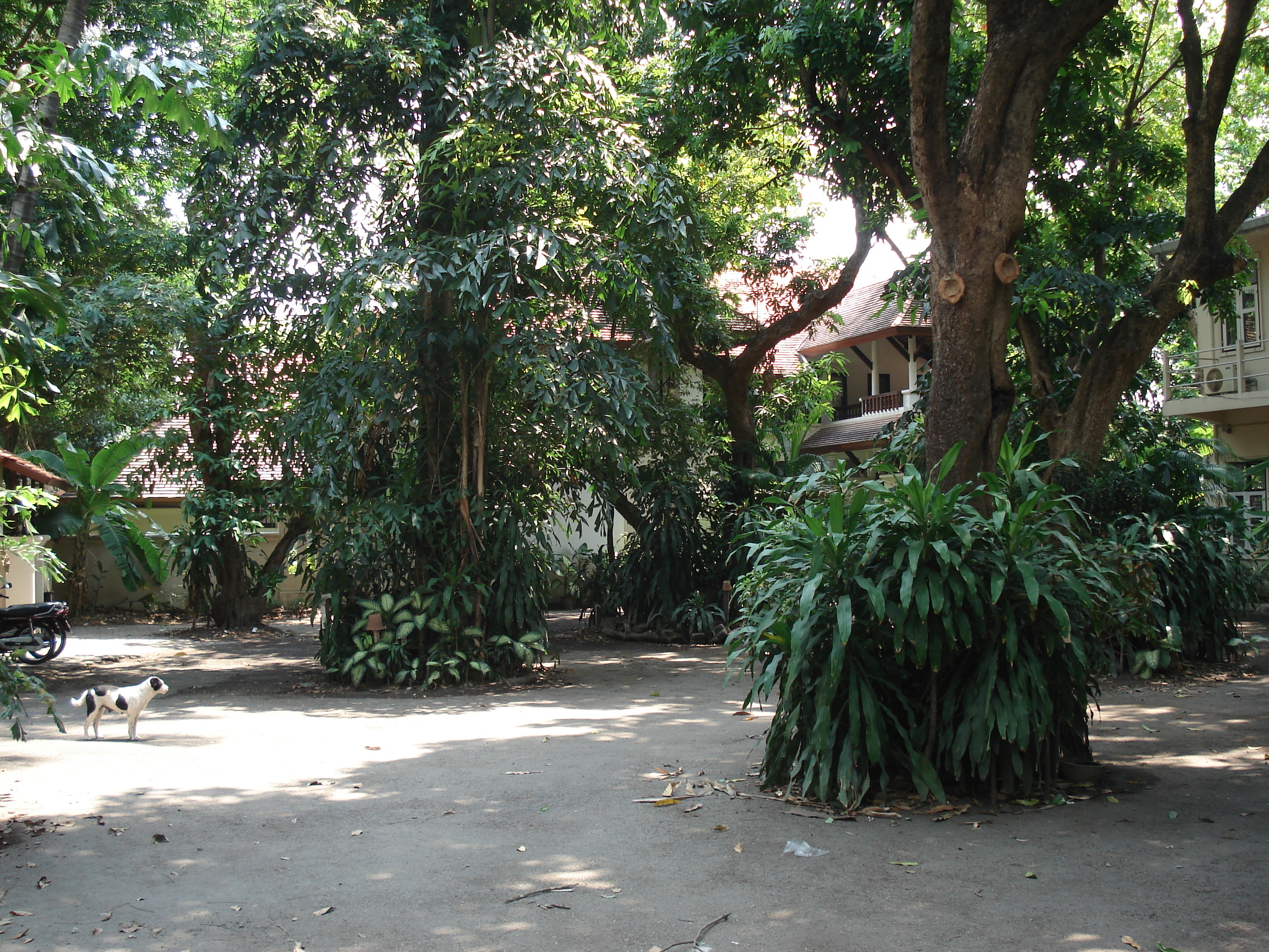 Photo Thaïlande Chiang Mai Centre(intra Canal) Rue Rad Cha Dom Nurn (Rue piétonne) 2006-04 32