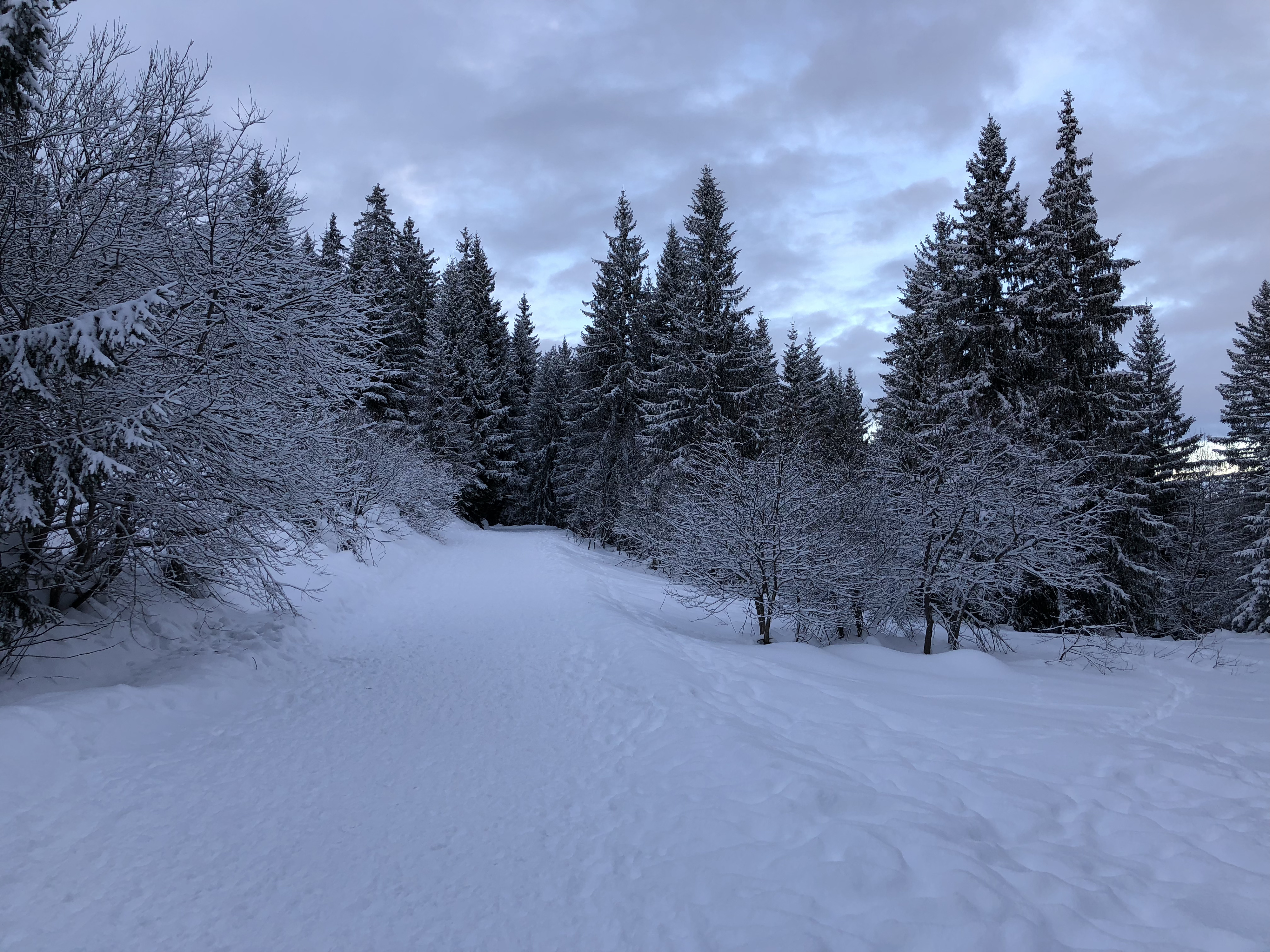 Photo France La Clusaz 2017-12 293