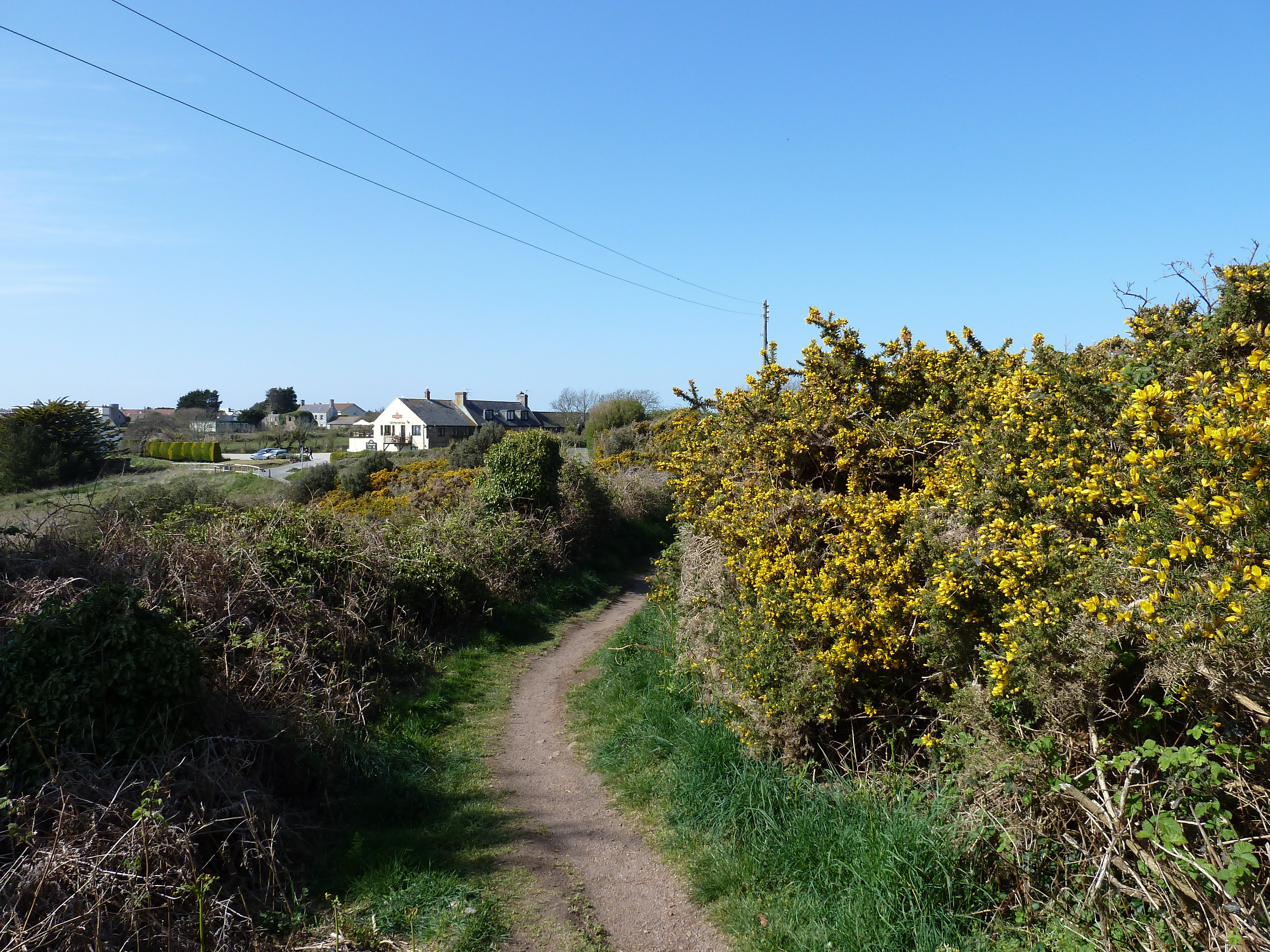 Photo Jersey 2010-04 32