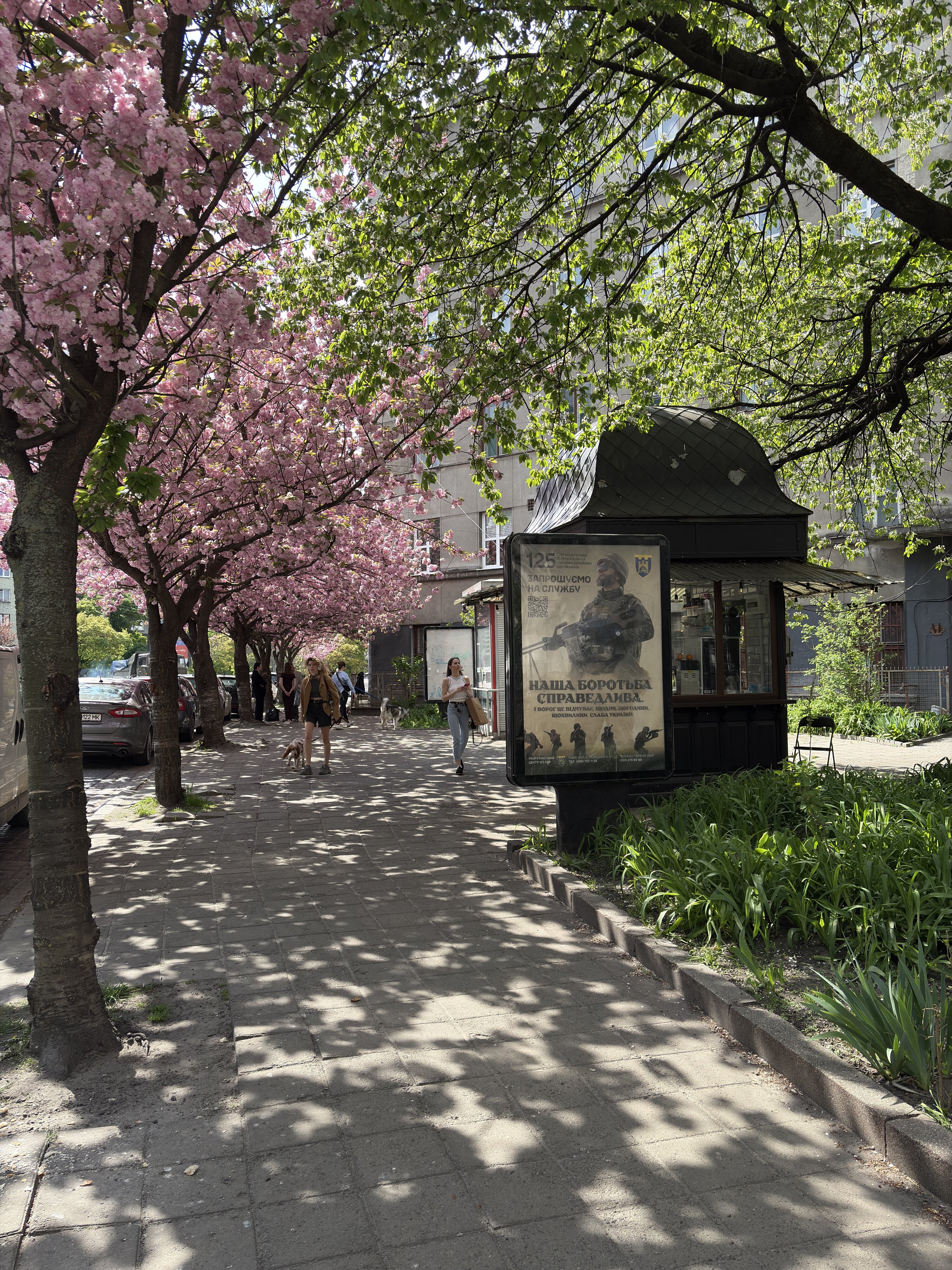 Photo Ukraine Lviv 2025-04 18