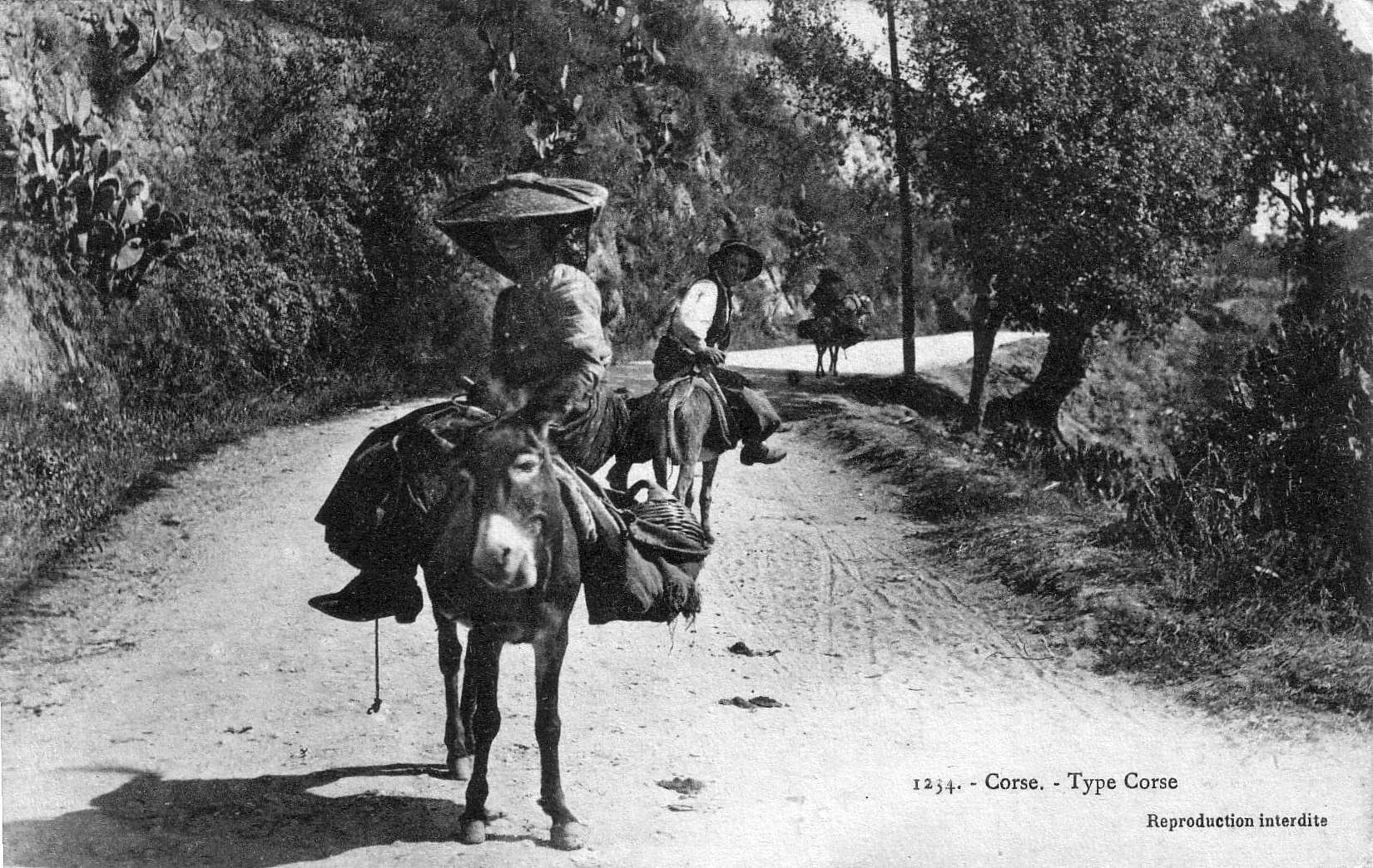 Photo France Corse Cartes postales anciennes 1900-01 278