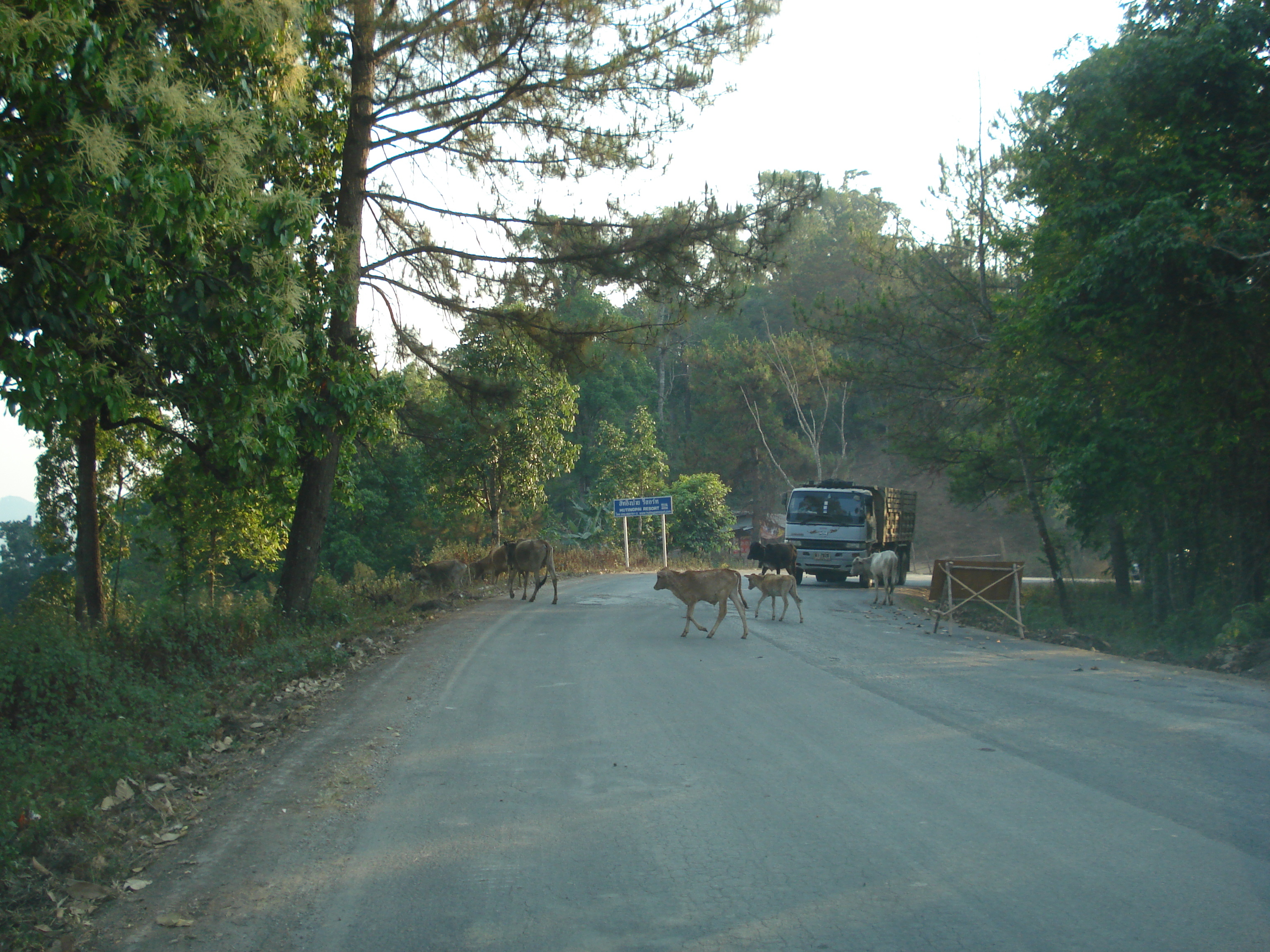 Photo Thaïlande Route de Chiang Mai à Pai 2007-02 136