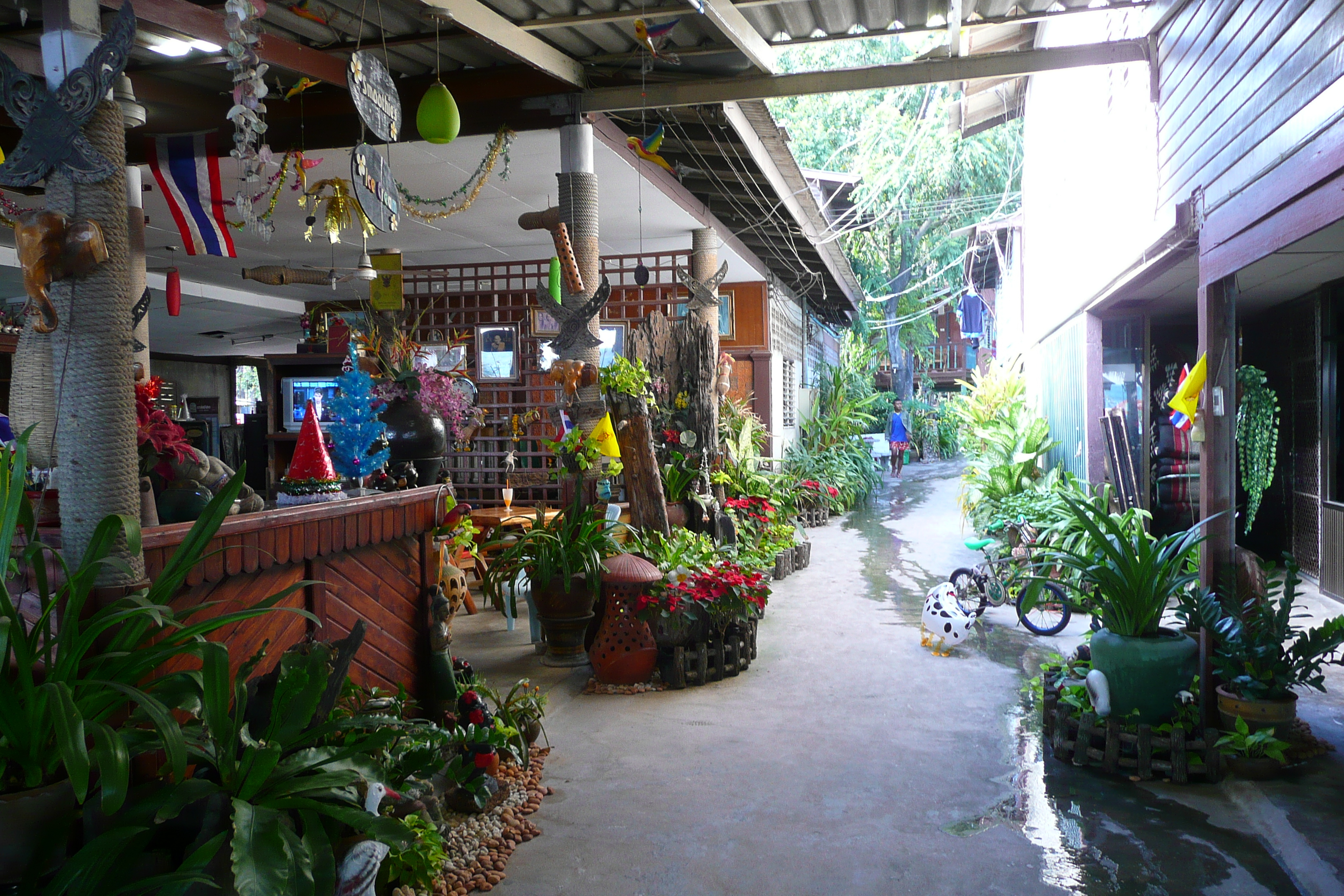 Photo Thaïlande Ko Samet Had Sai Kaew 2008-12 53