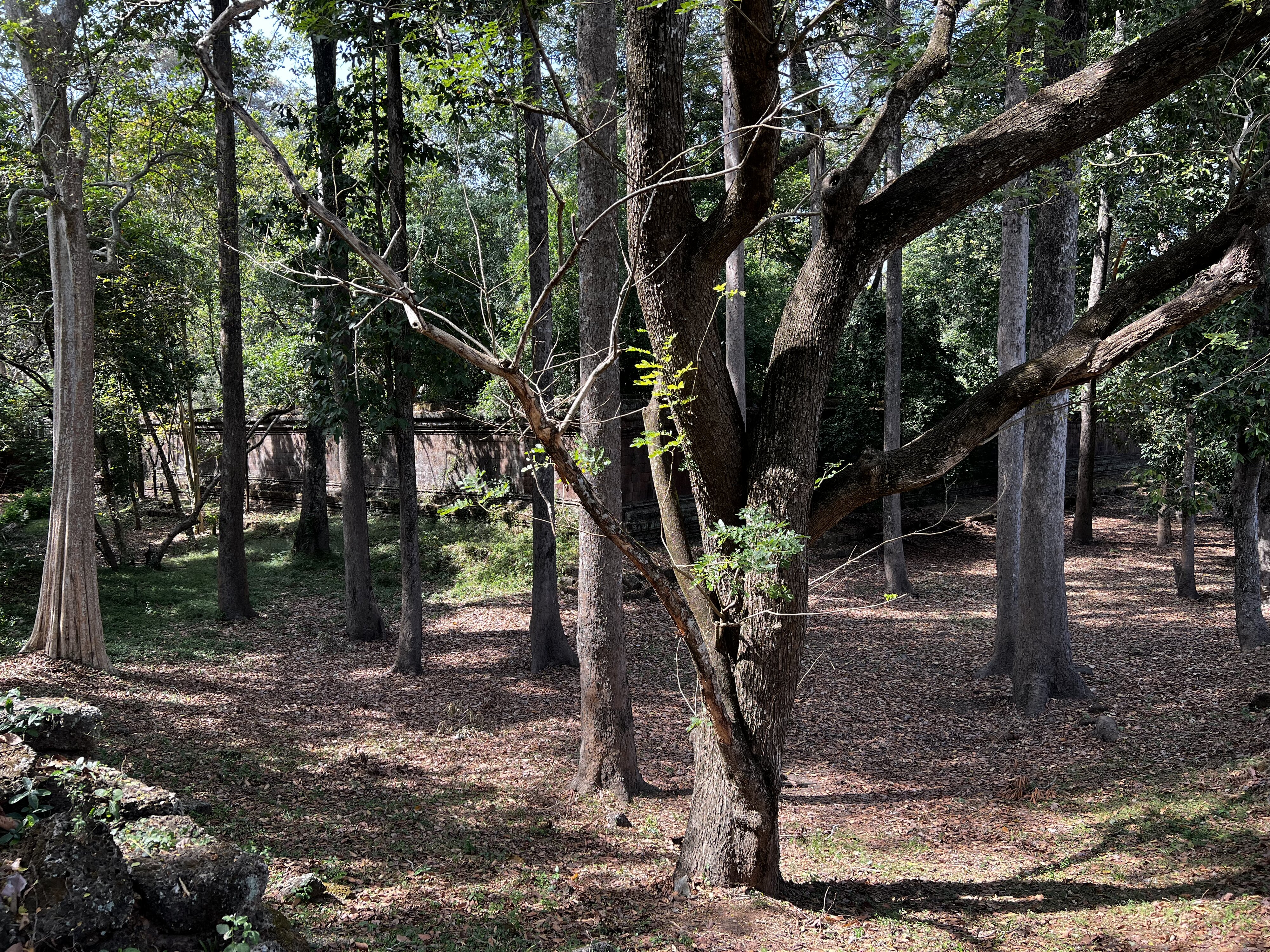 Photo Cambodge Siem Reap Angkor Thom 2023-01 57