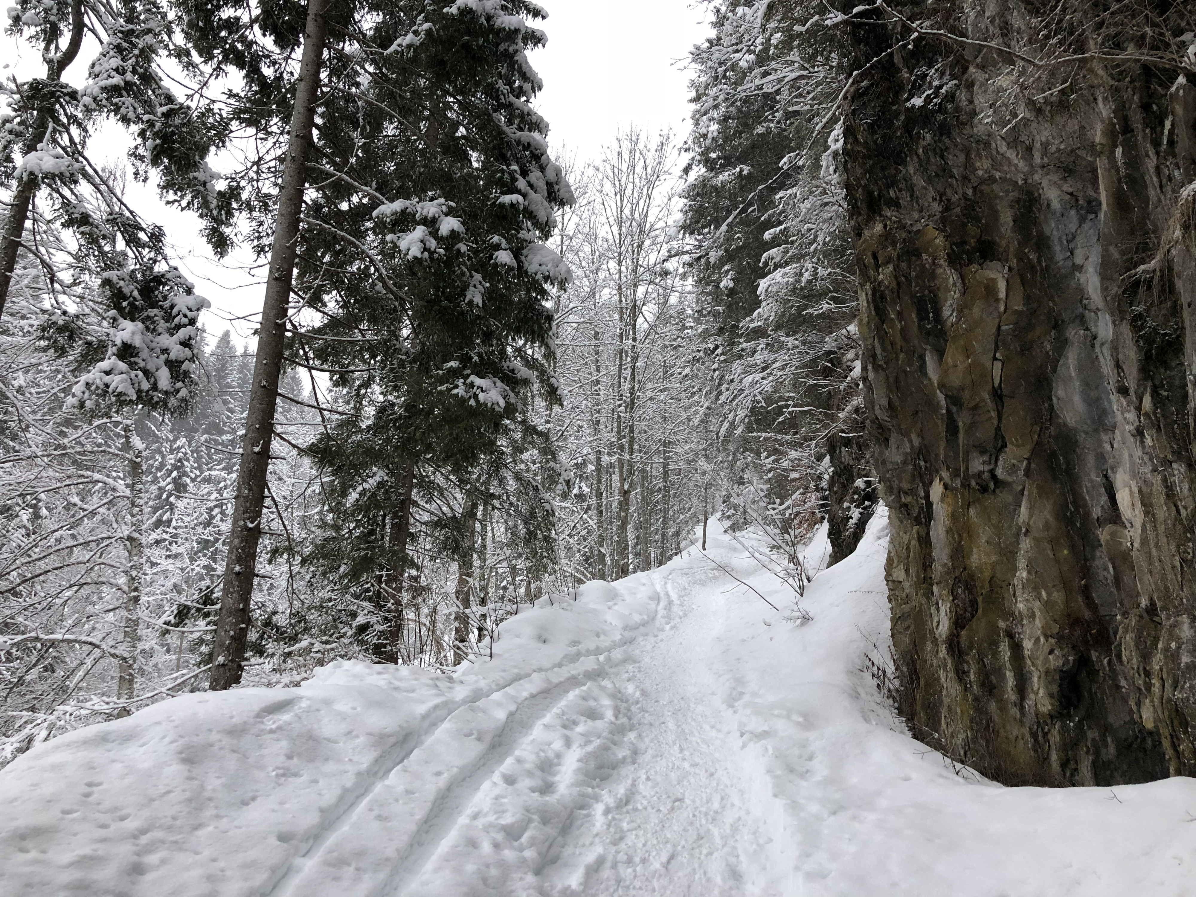Photo France La Clusaz 2017-12 278