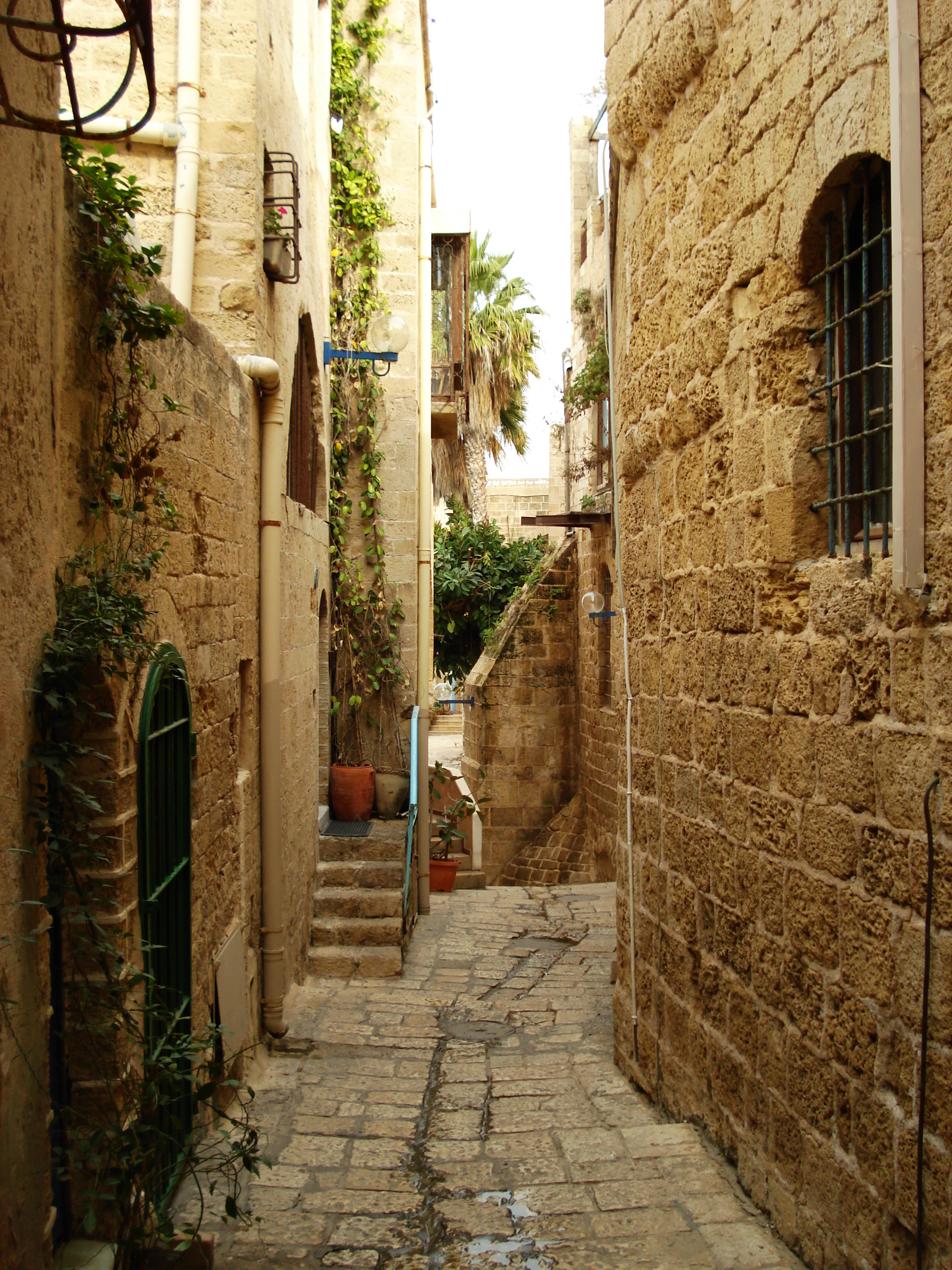Photo Israel Jaffa 2006-12 2