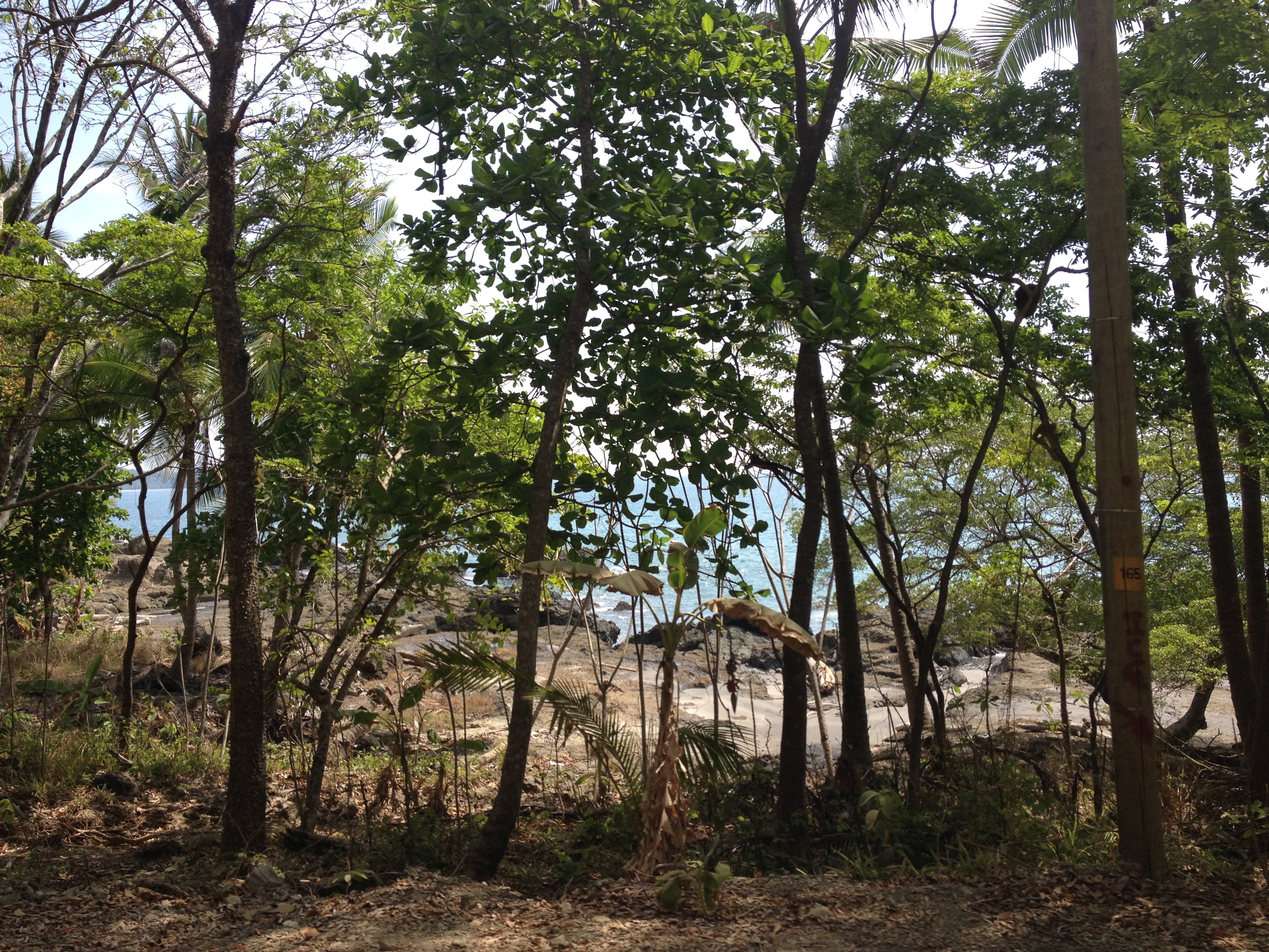 Photo Costa Rica Montezuma 2015-03 301