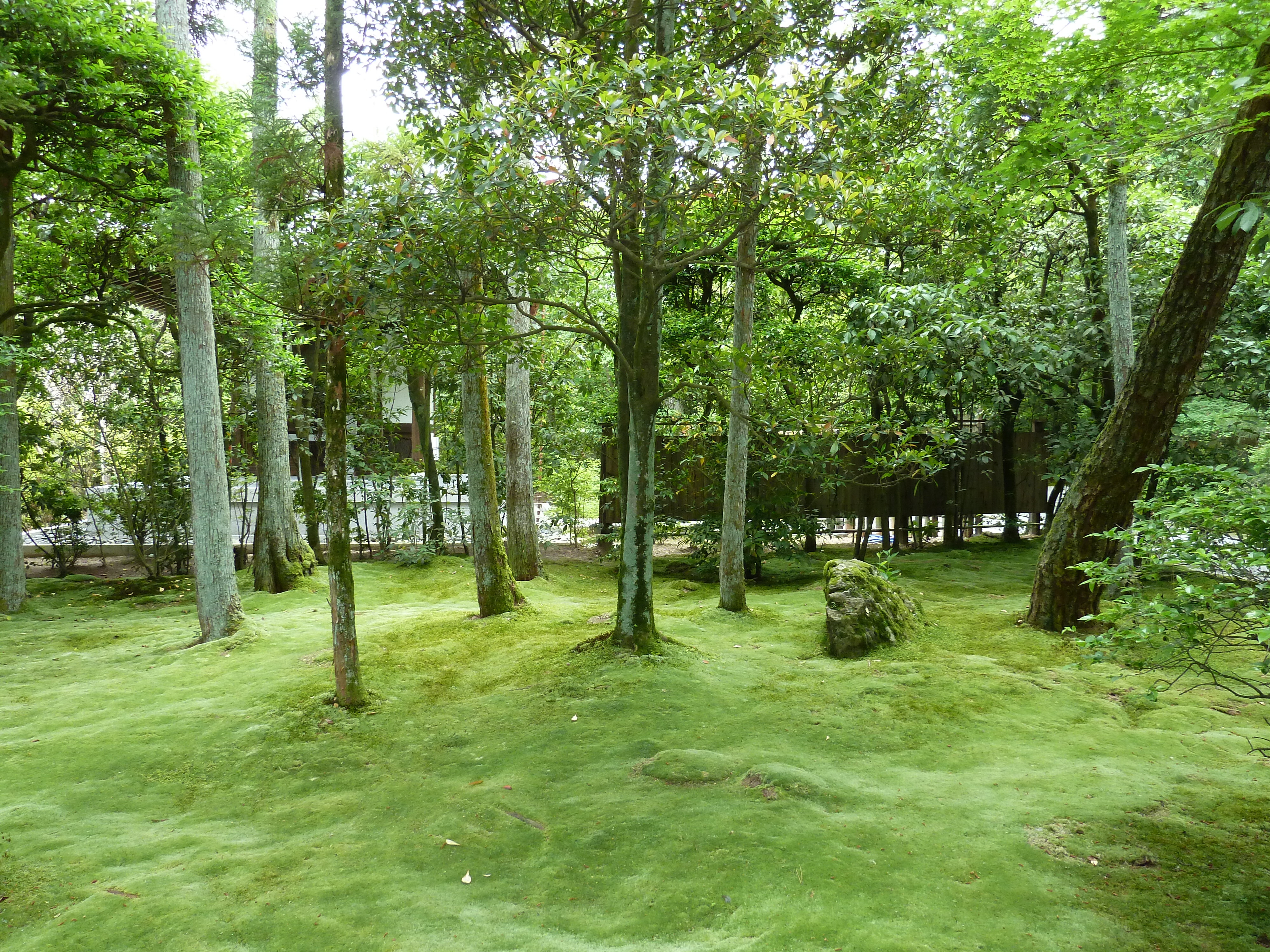 Photo Japon Kyoto temple Ryoanji 2010-06 9