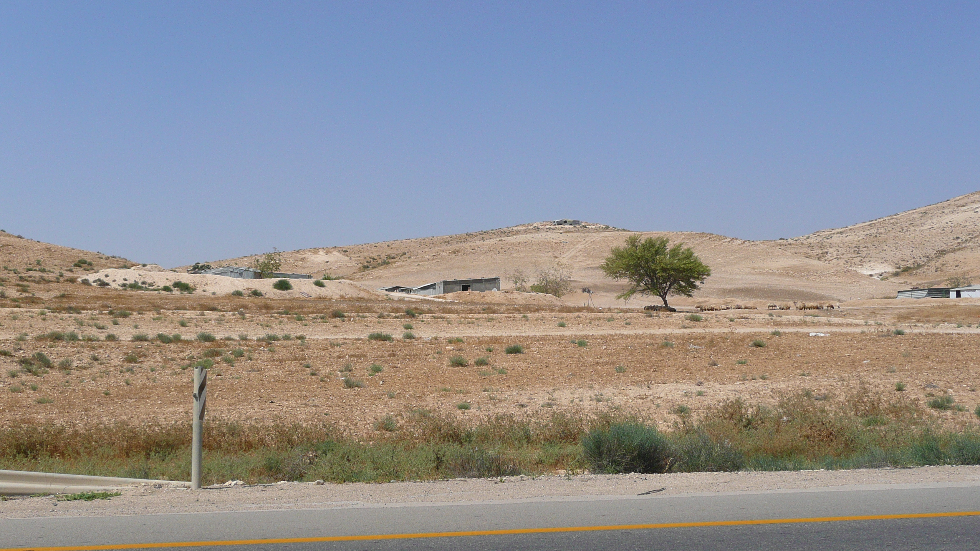 Photo Israel Route de Ashkelon à Arad 2007-06 126