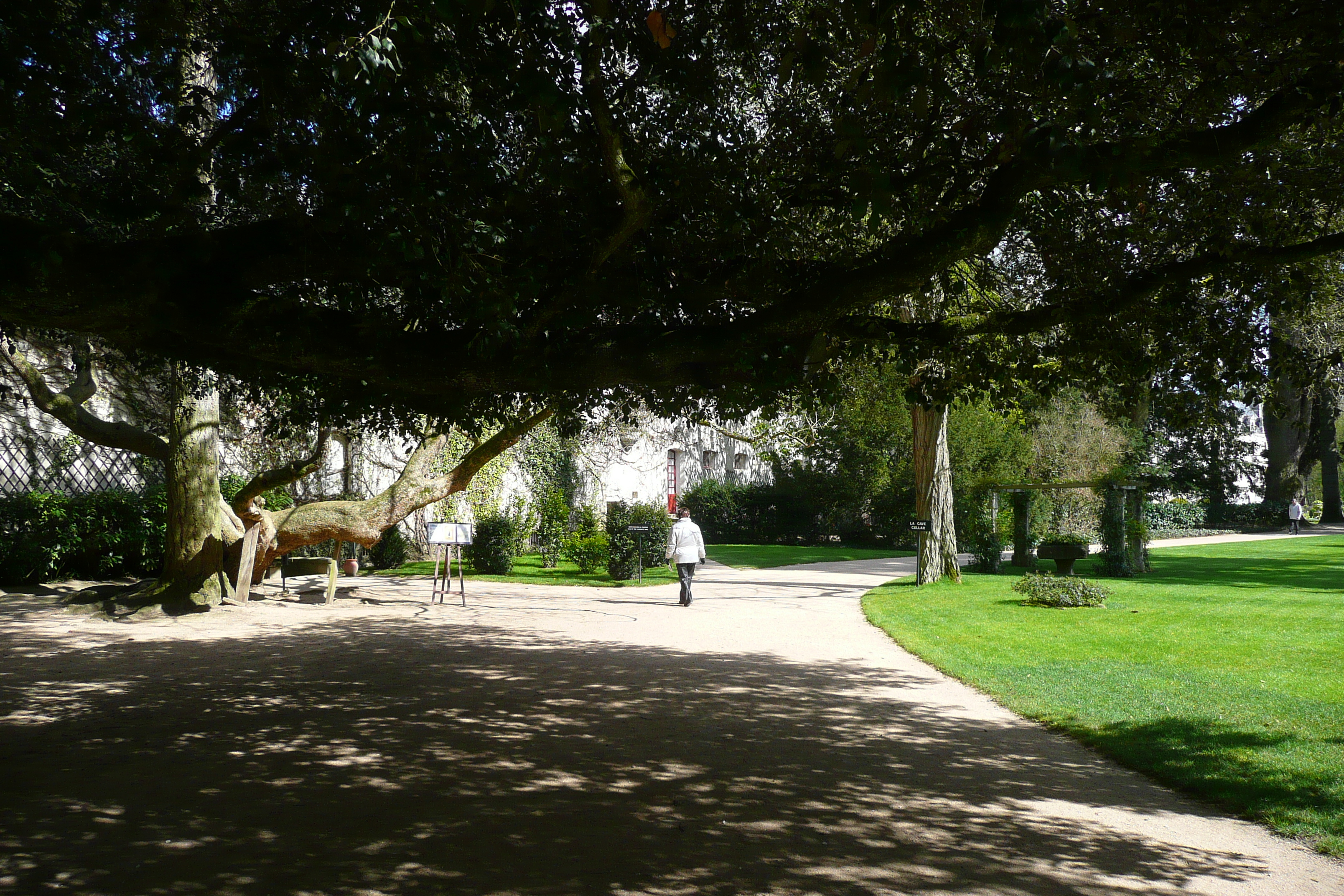 Photo France Château de Chenonceau Jardins de Chenonceau 2008-04 38