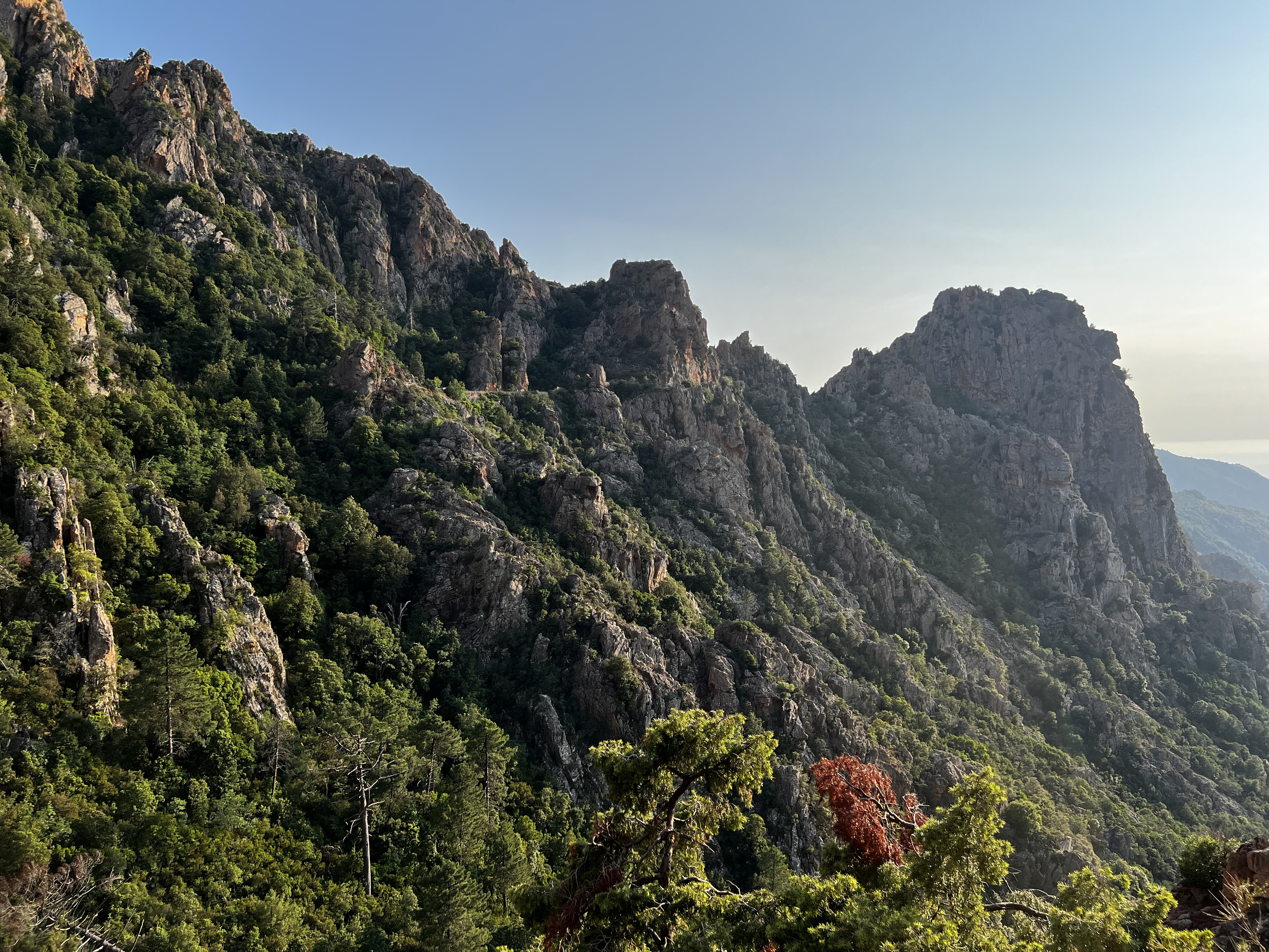 Photo France Corse Calanques de Piana 2023-06 33
