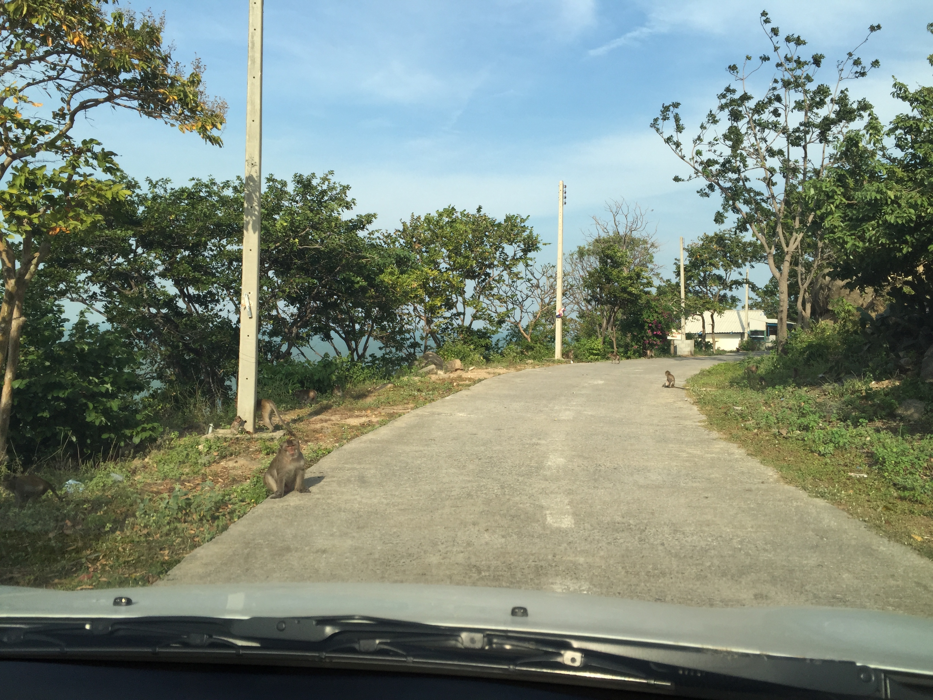 Photo Thaïlande Hua hin 2016-01 65