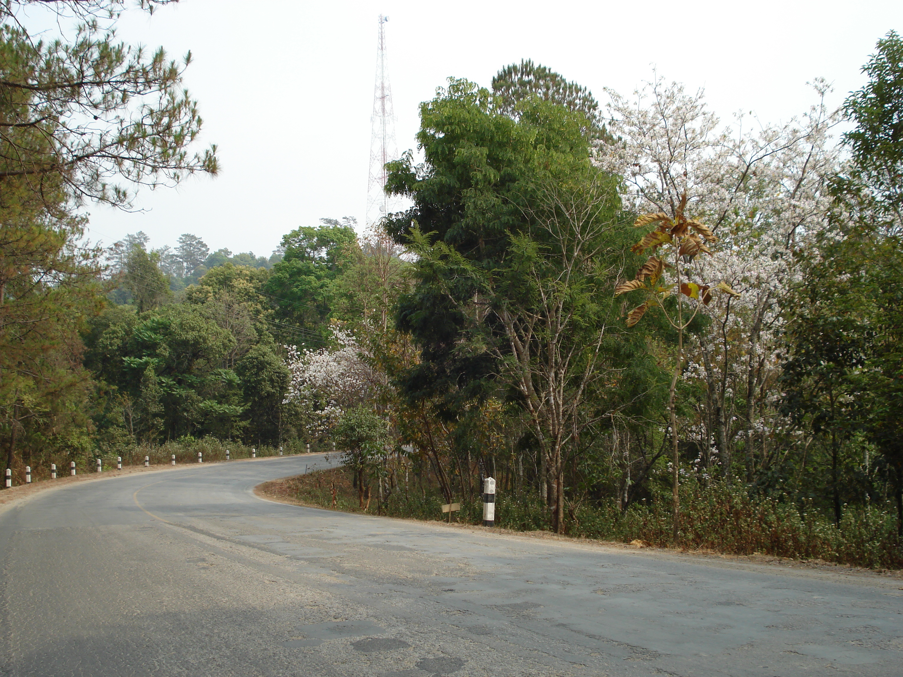 Photo Thaïlande Route de Chiang Mai à Pai 2007-02 41