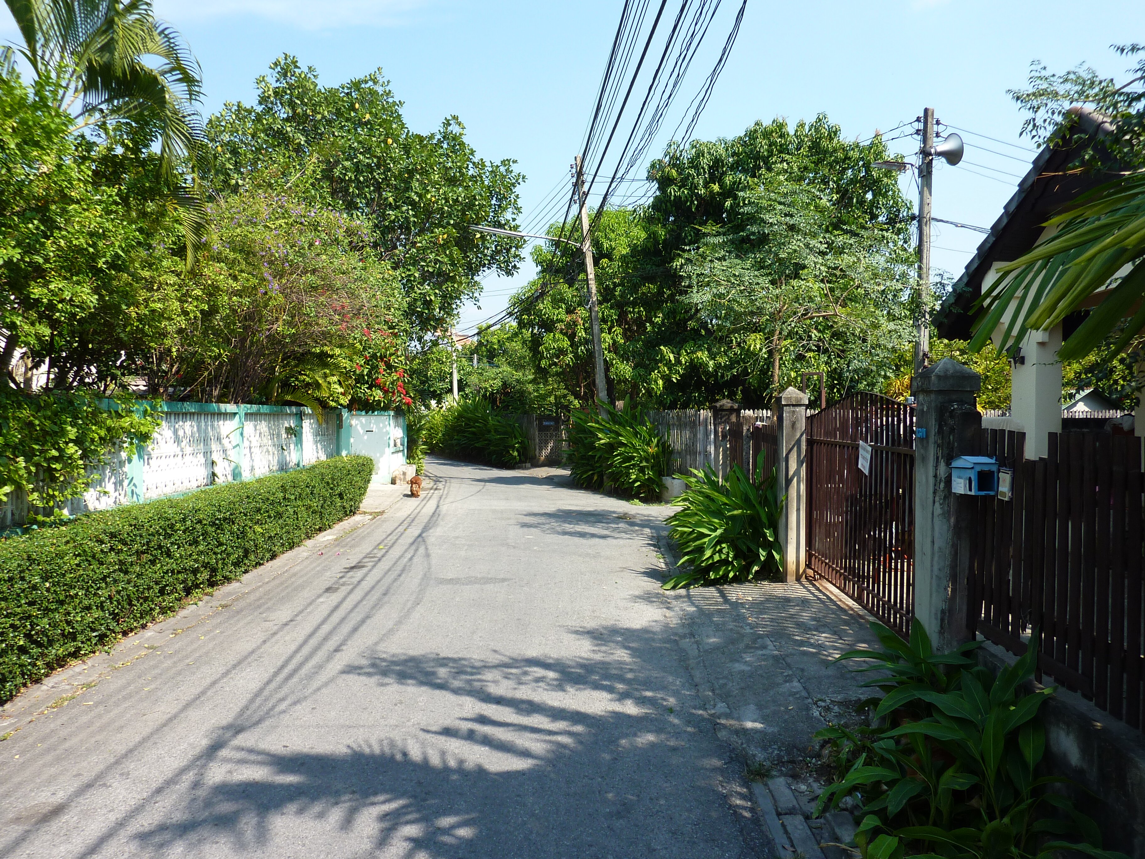 Photo Thaïlande Chiang Mai Rue Sam Lan 2009-12 0