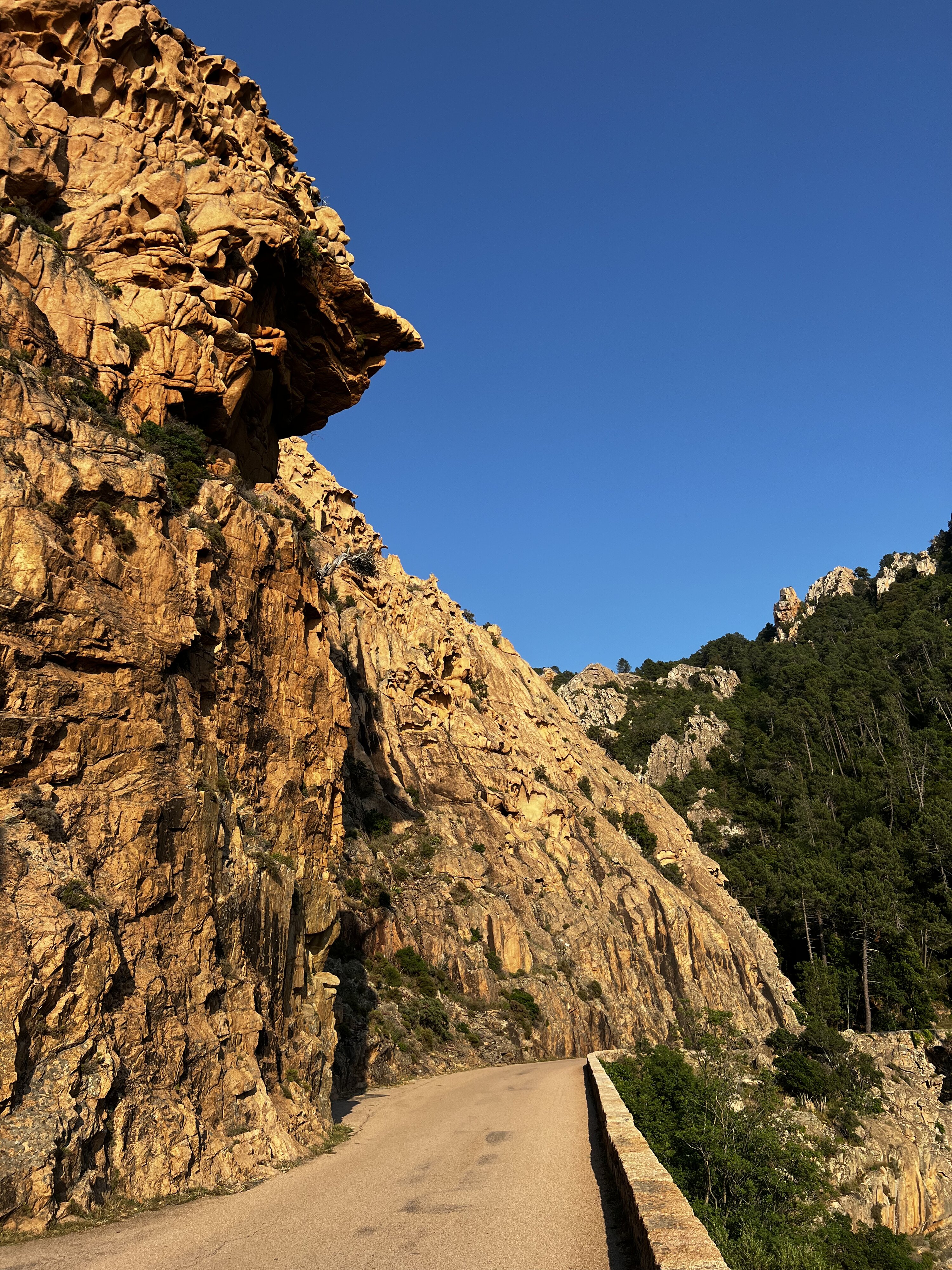 Photo France Corse Calanques de Piana 2023-06 42