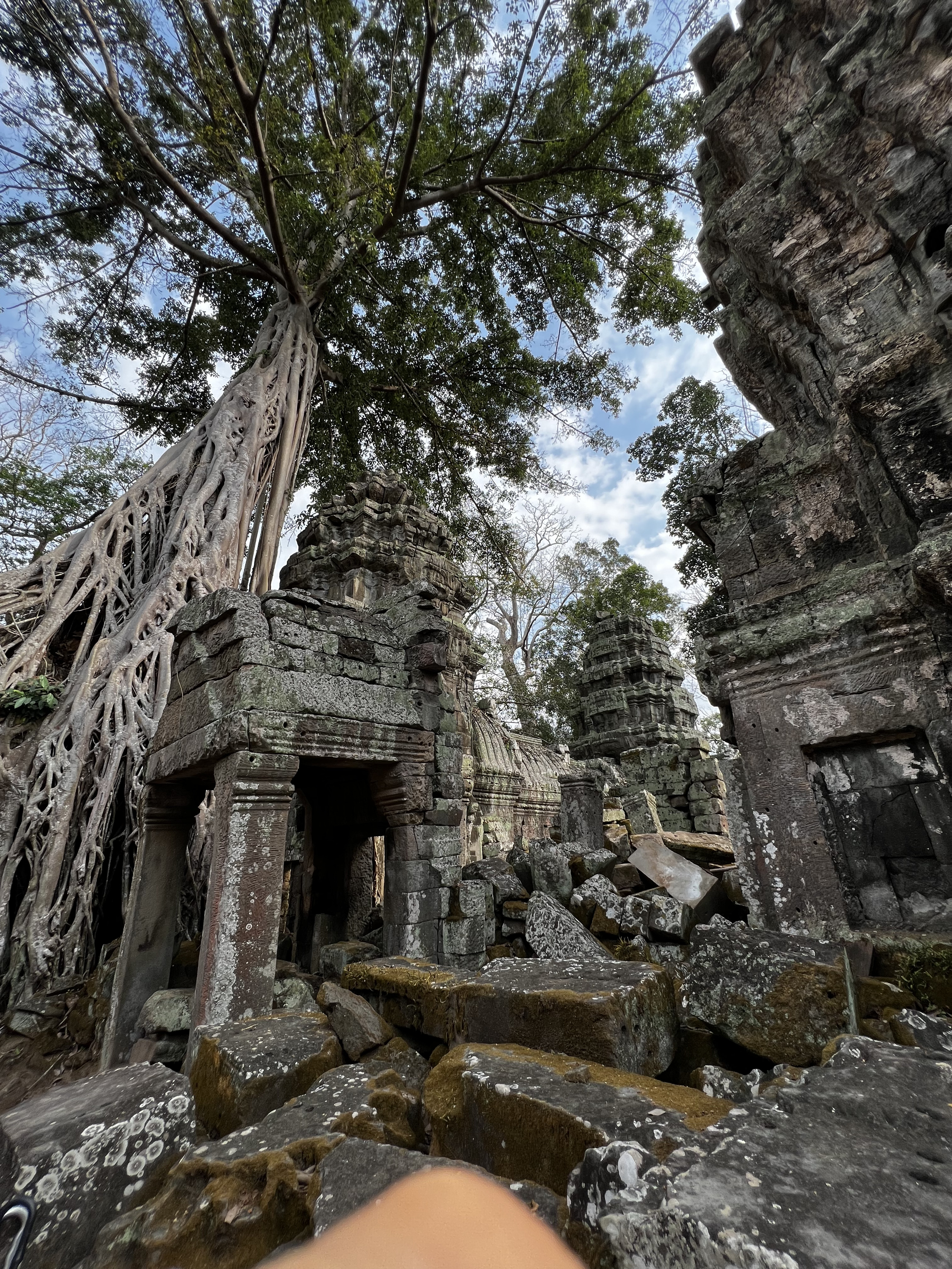 Photo Cambodge Siem Reap Ta Prohm 2023-01 114