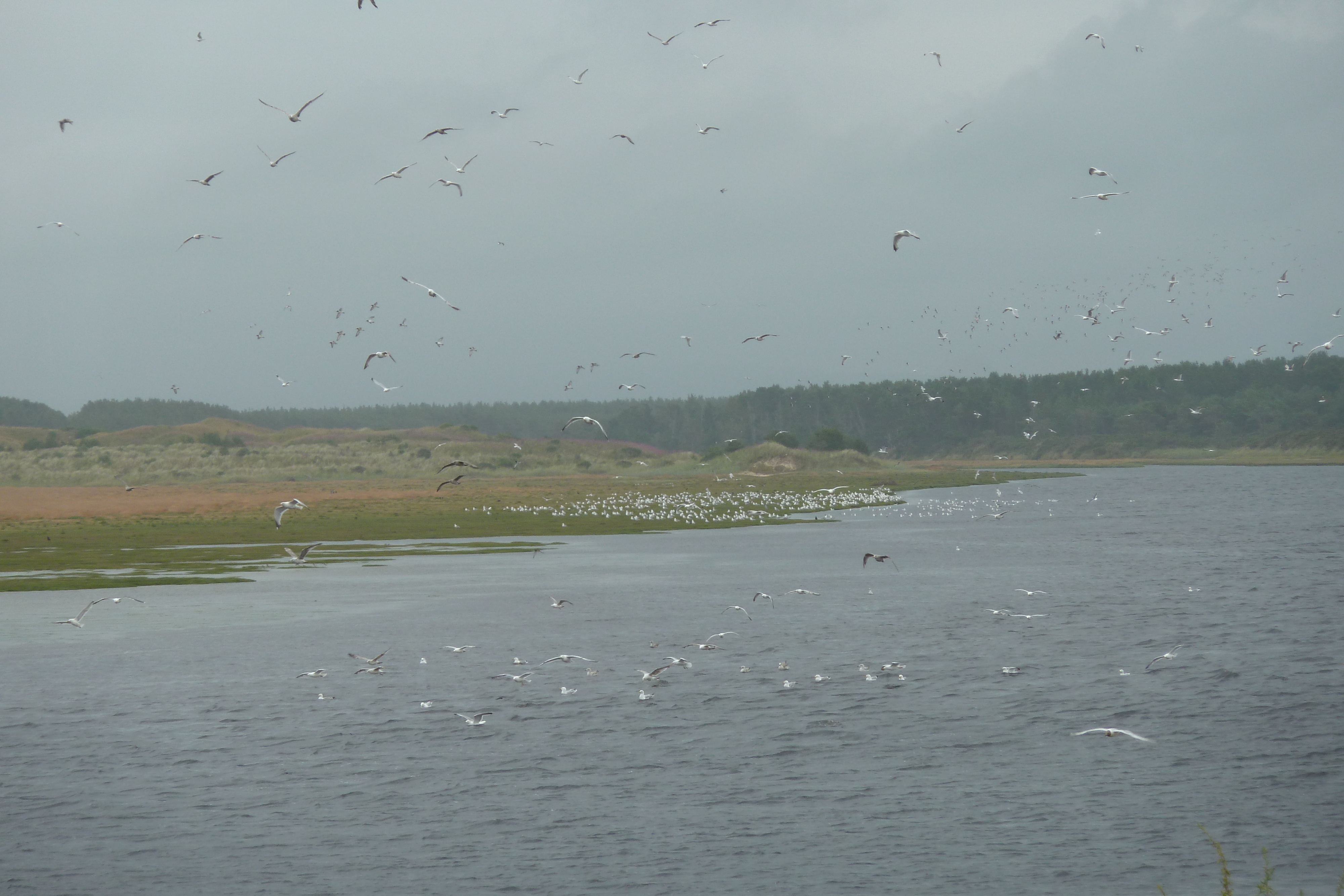 Photo Royaume-Uni Écosse Lossiemouth 2011-07 12